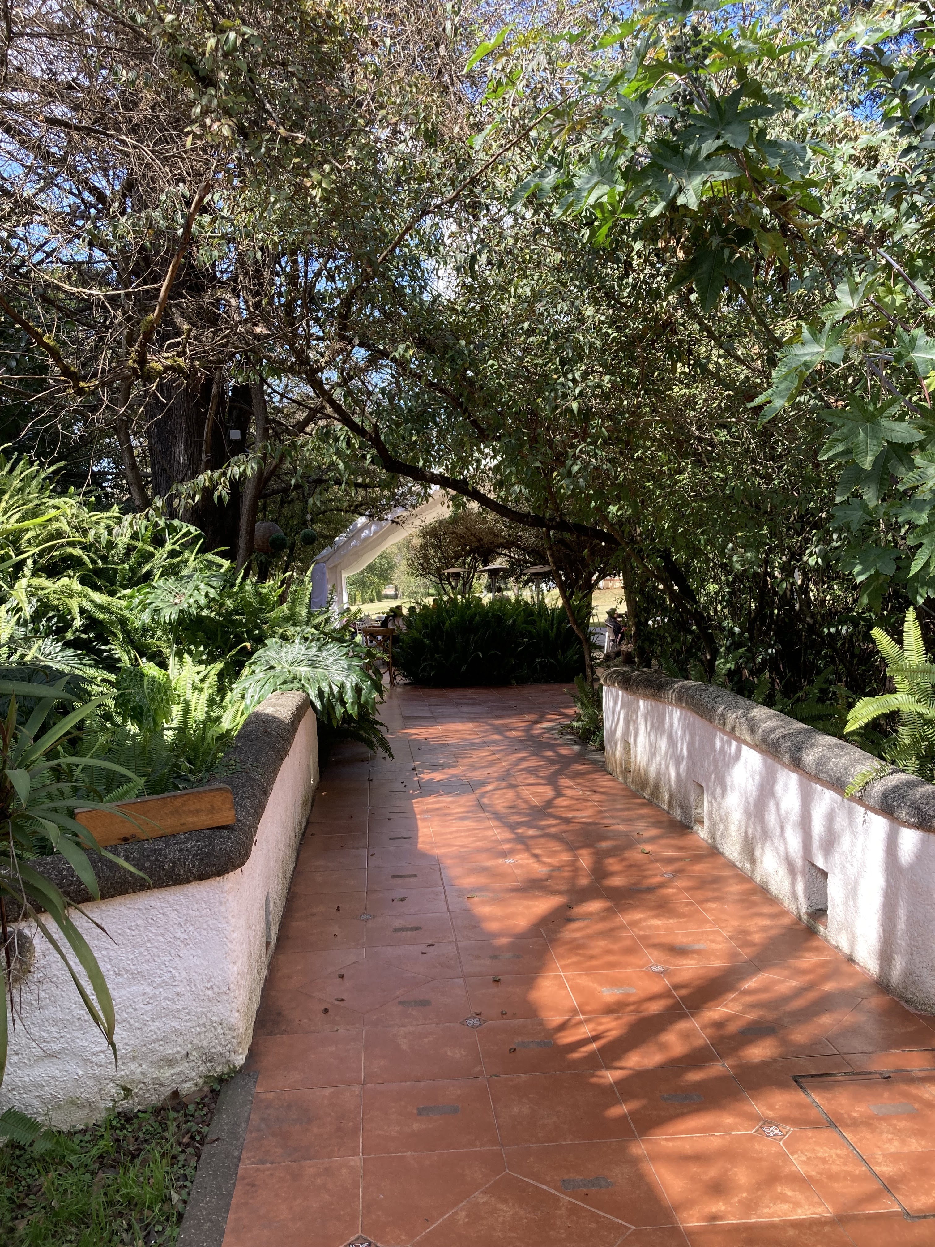 La Luciérnaga image 6