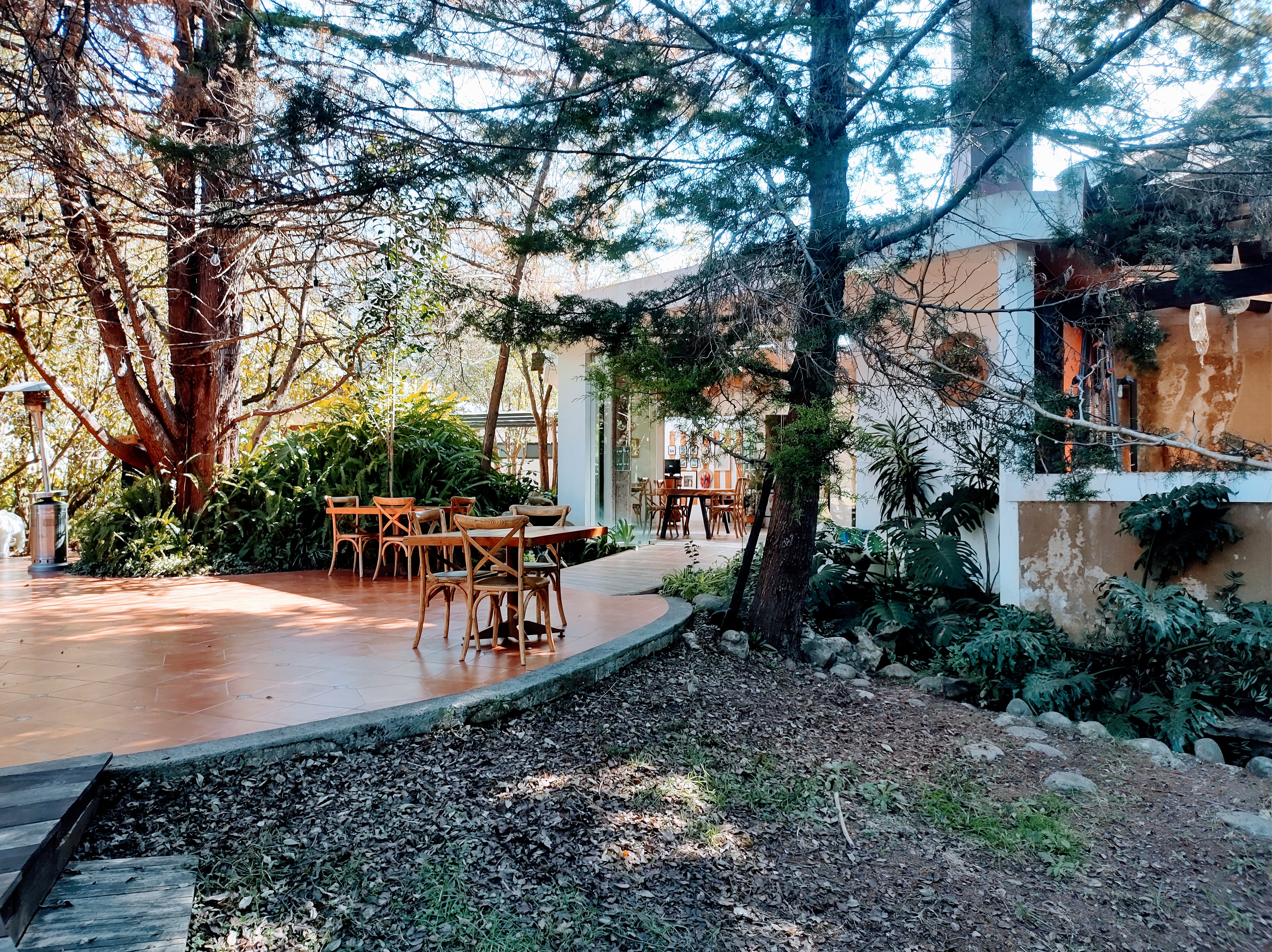 La Luciérnaga image 8