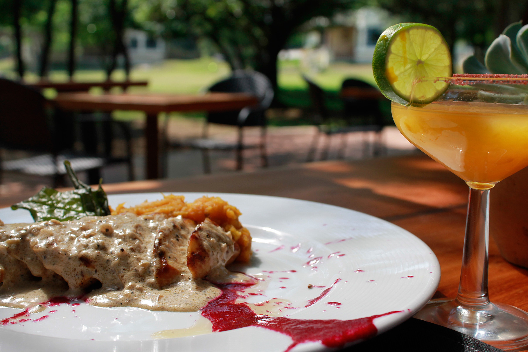 La Luciérnaga image 9