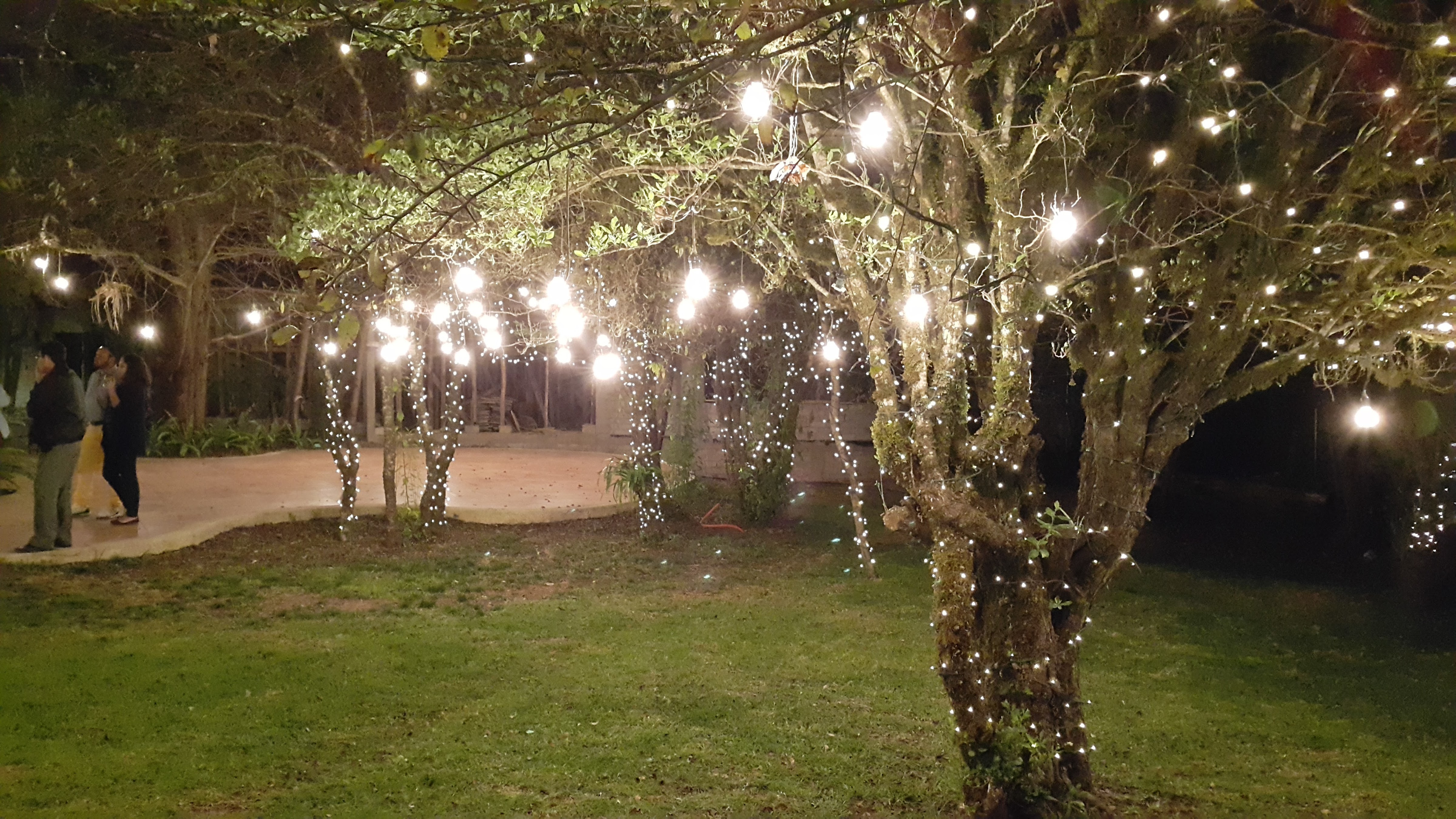 La Luciérnaga image 10