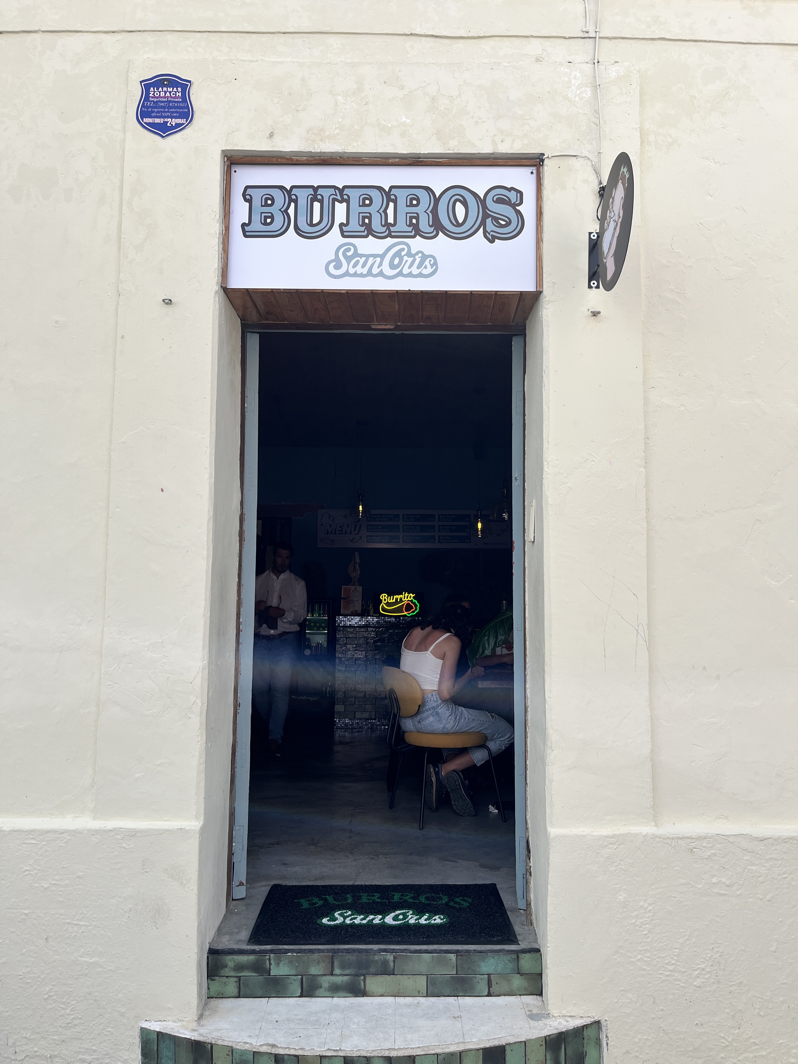 Burros San Cris image 1