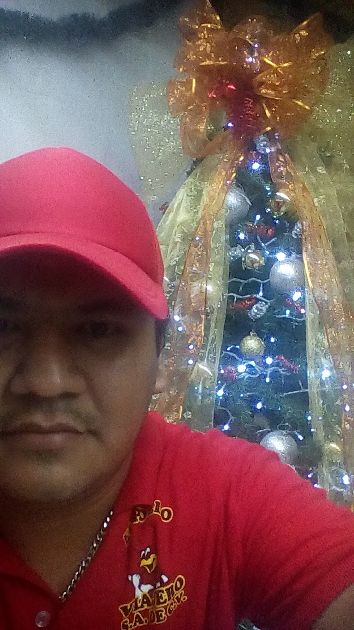 El Pollo Viajero image 9