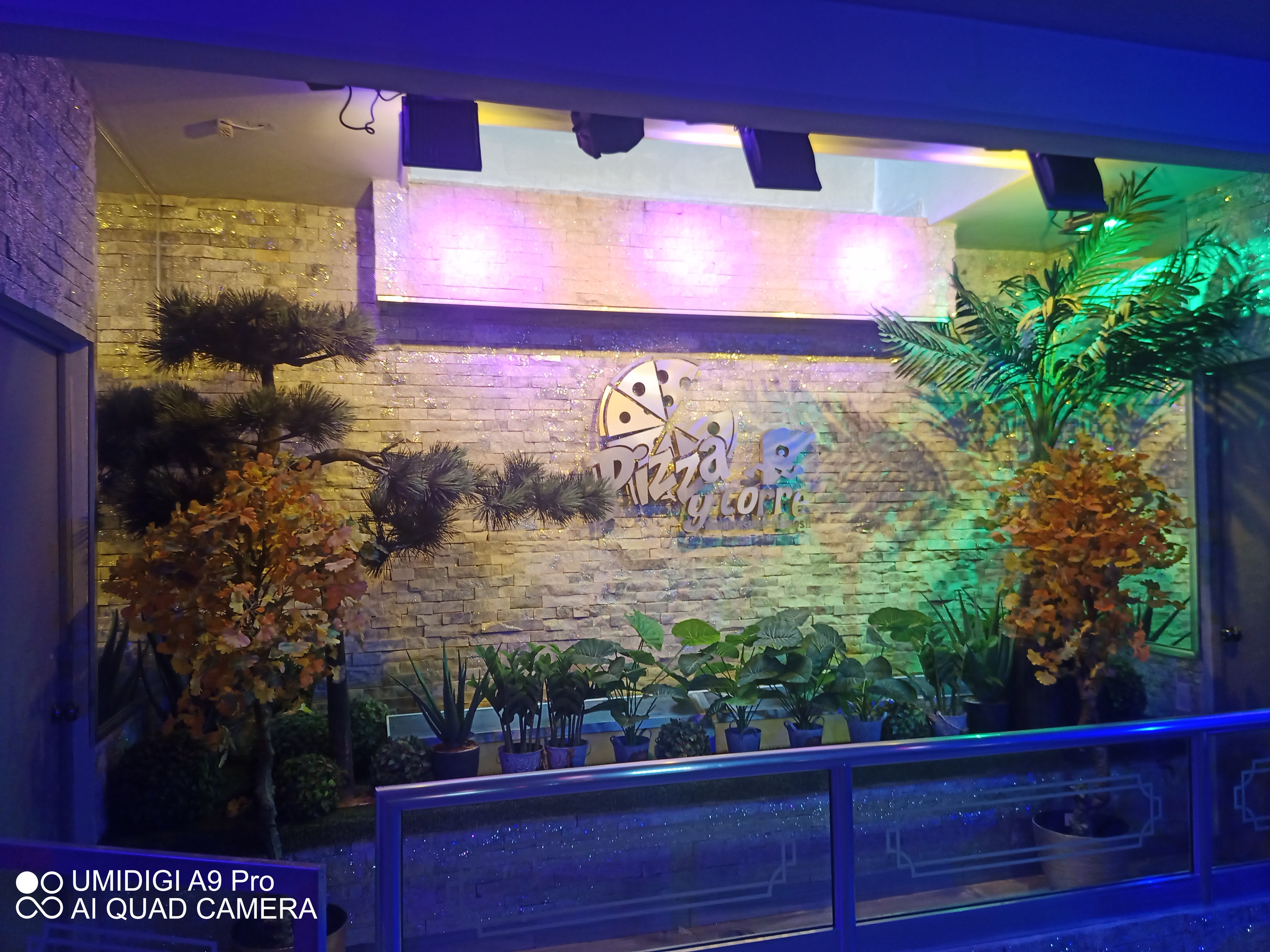 PIZZA Y CORRE EXPRESS image 9