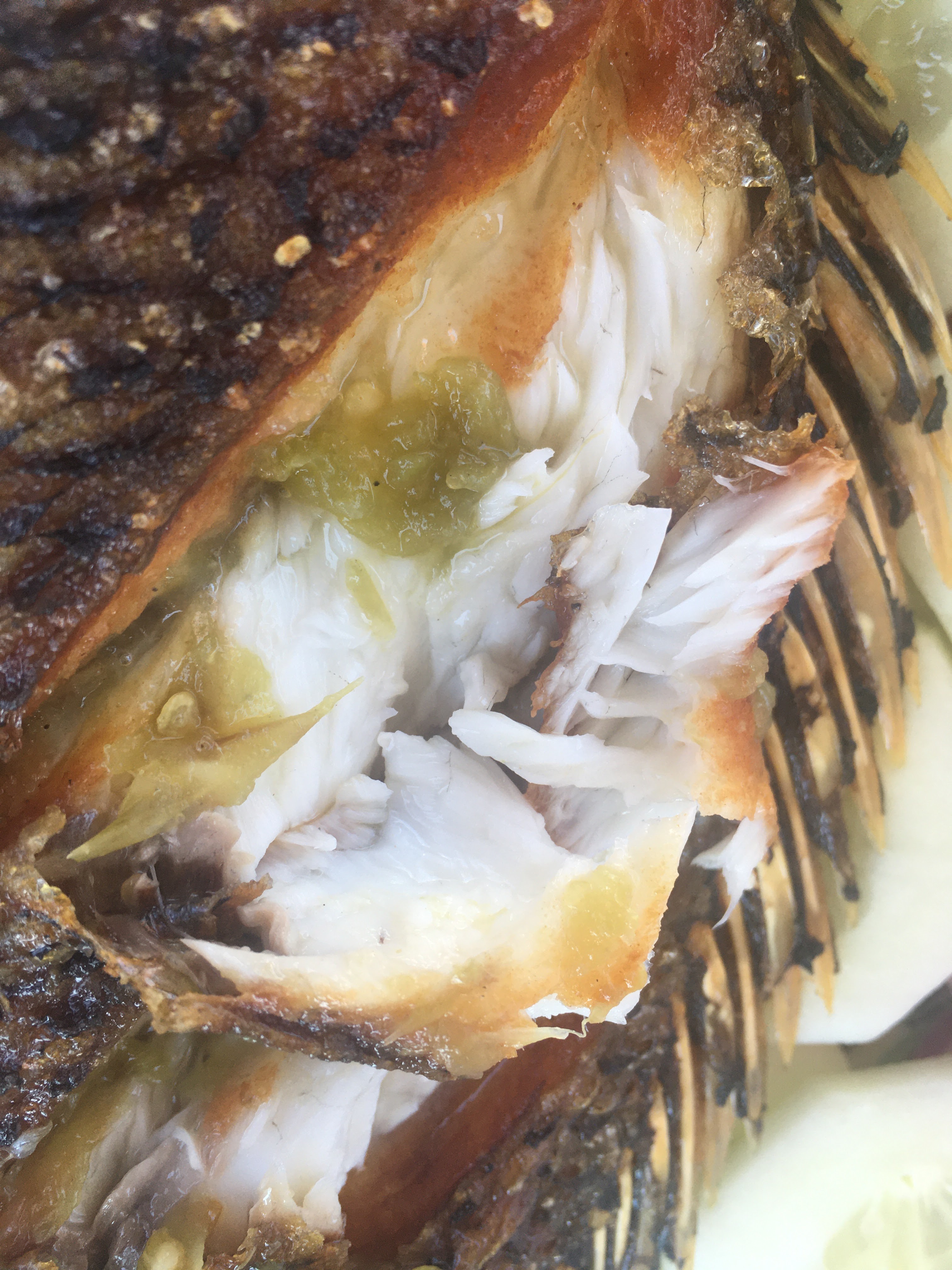 MOJARRAS FRITAS Y ASADAS EL EDÉN image 1