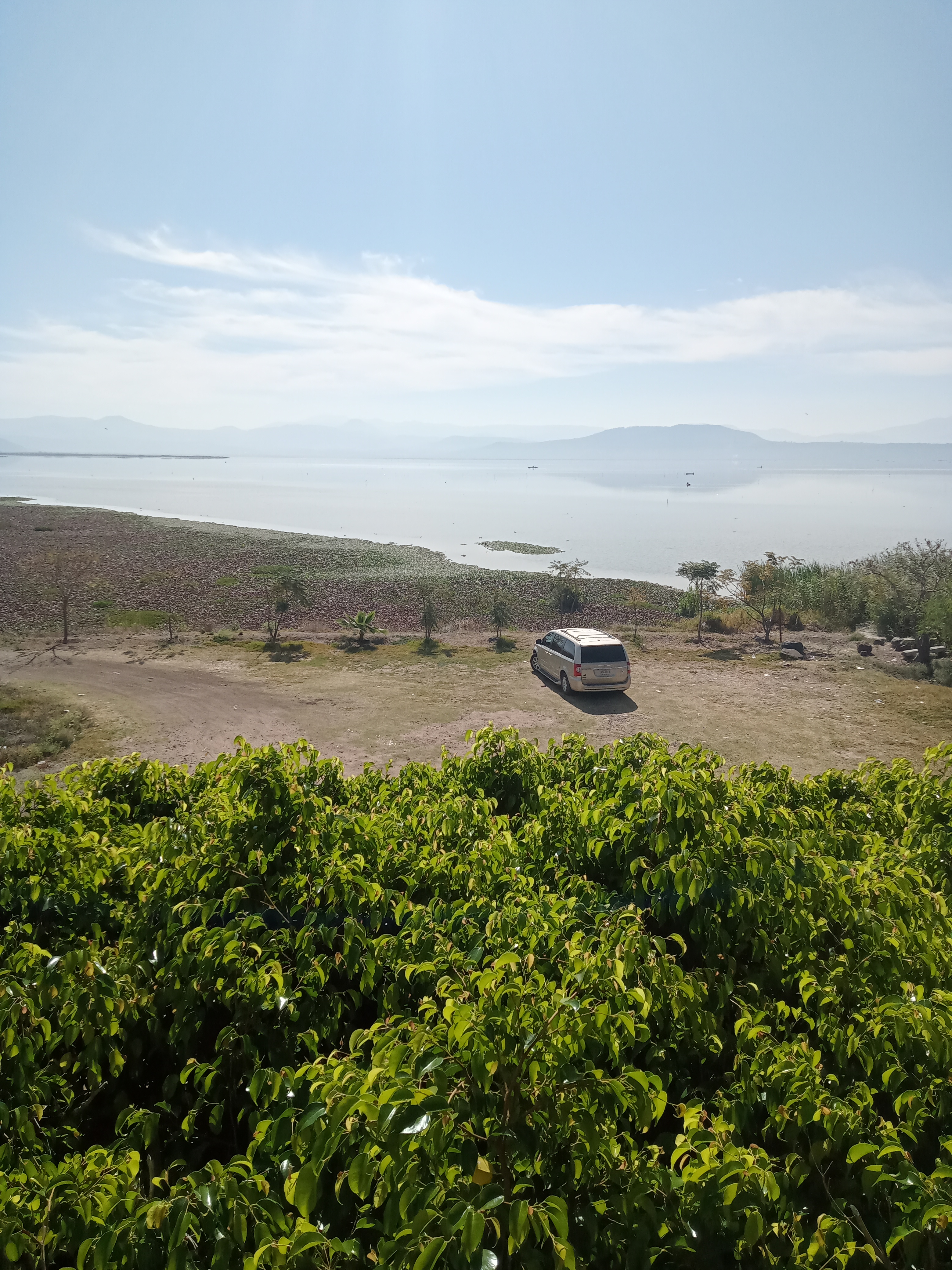 La Palapa de San Pedro image 2