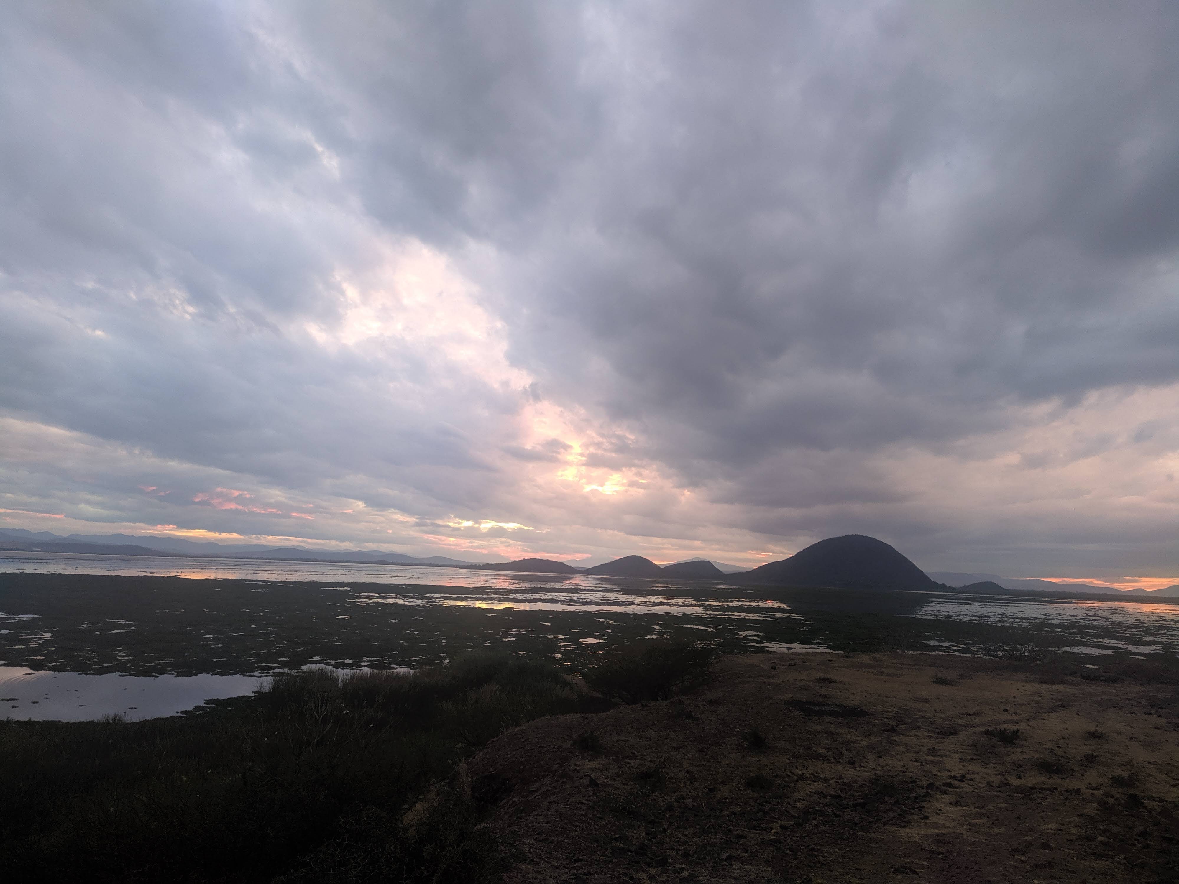 La Palapa de San Pedro image 6