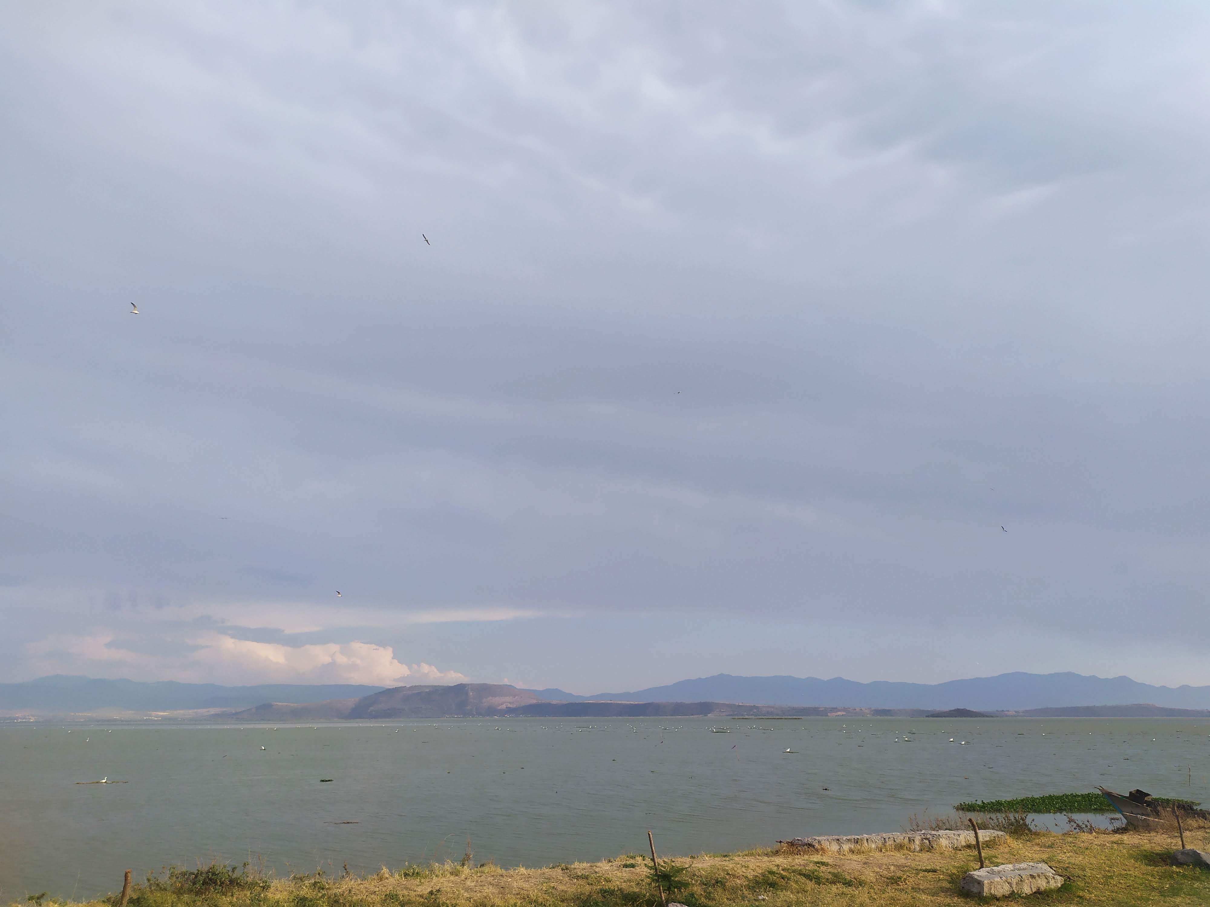 La Palapa de San Pedro image 7