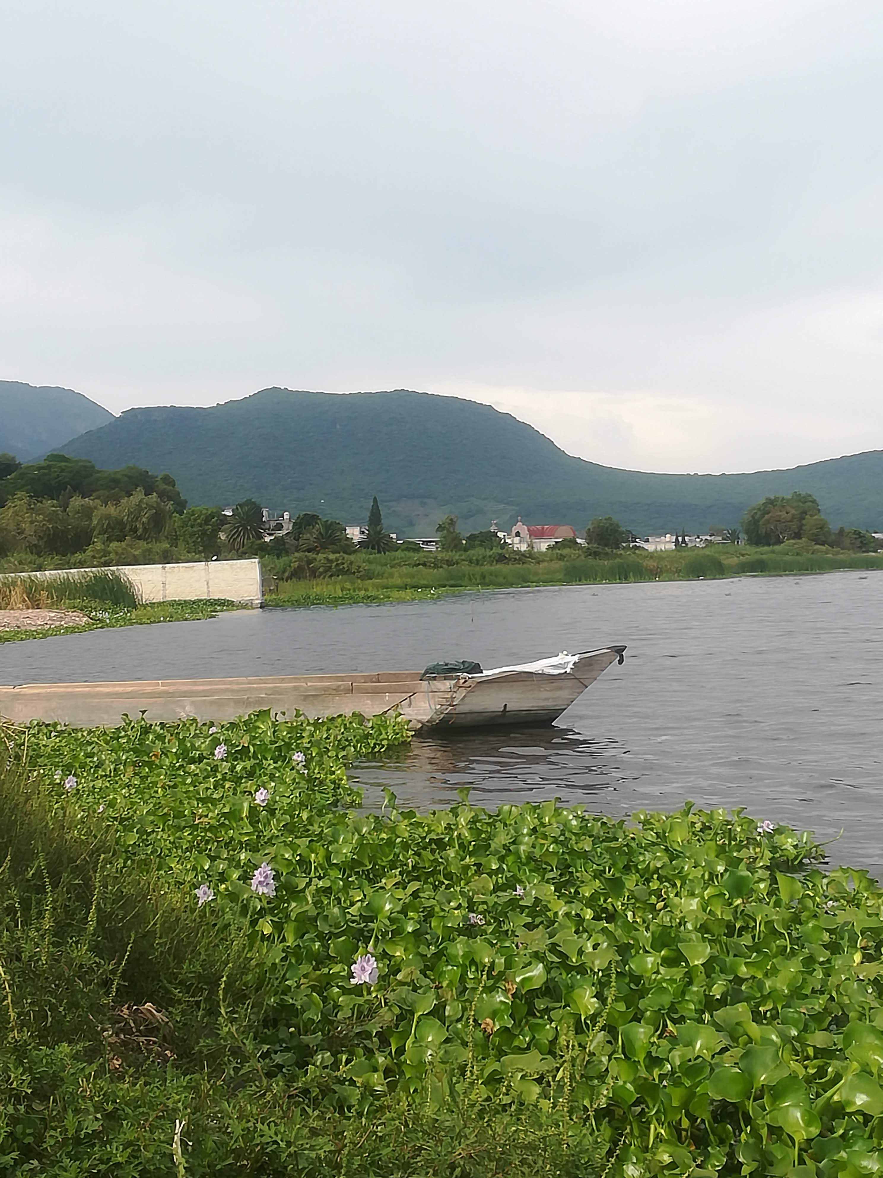 La Palapa de San Pedro image 8