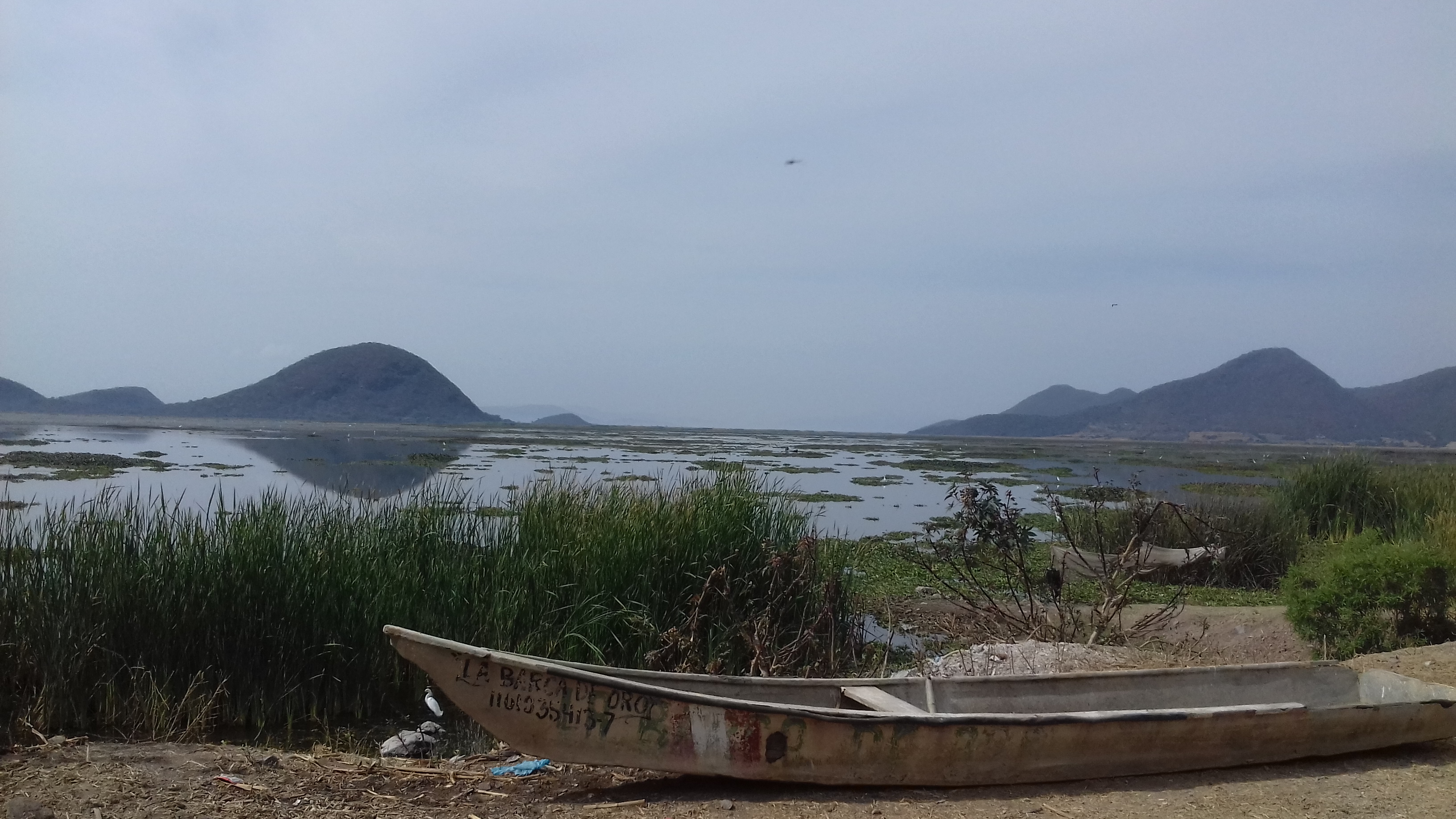 La Palapa de San Pedro image 10