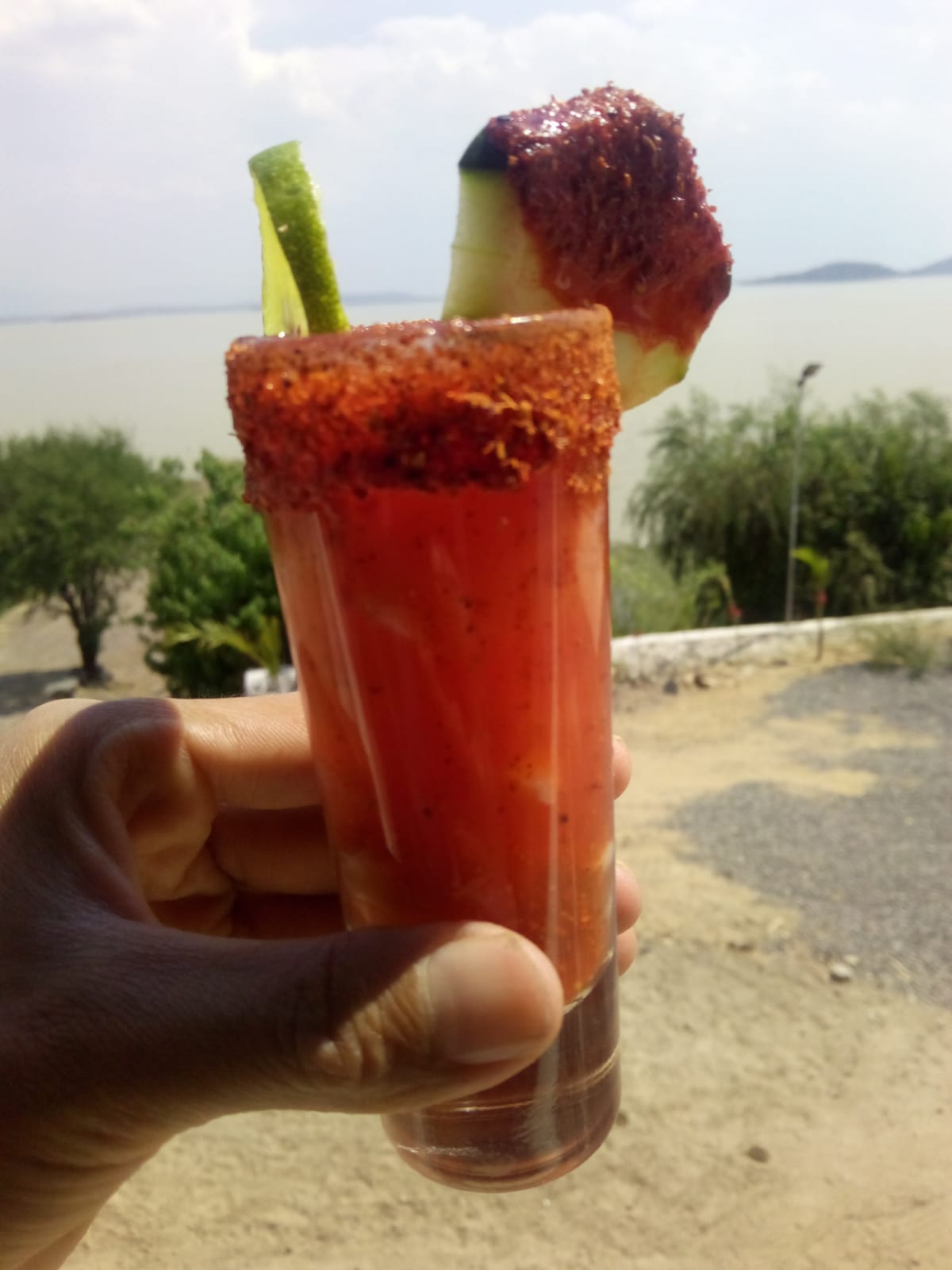 Las Palmas de San Pedro. image 8