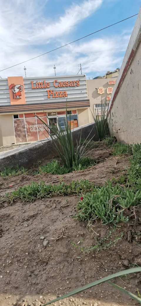 Little Caesars Villa del Campo image 4