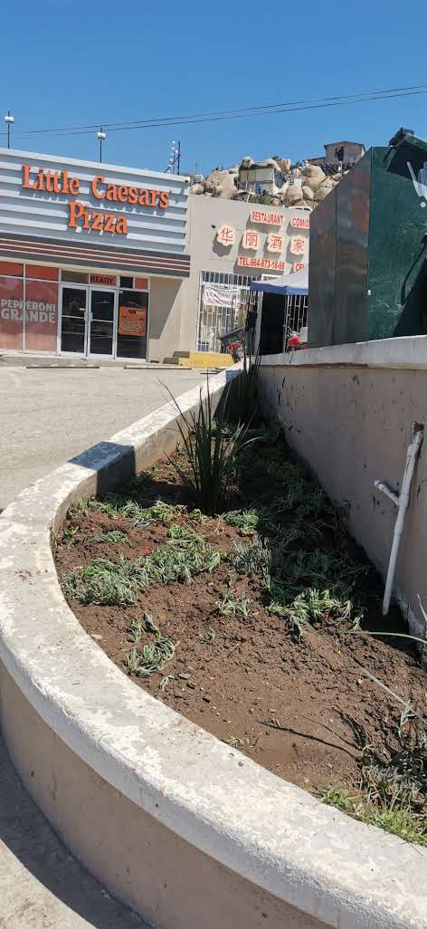 Little Caesars Villa del Campo image 5