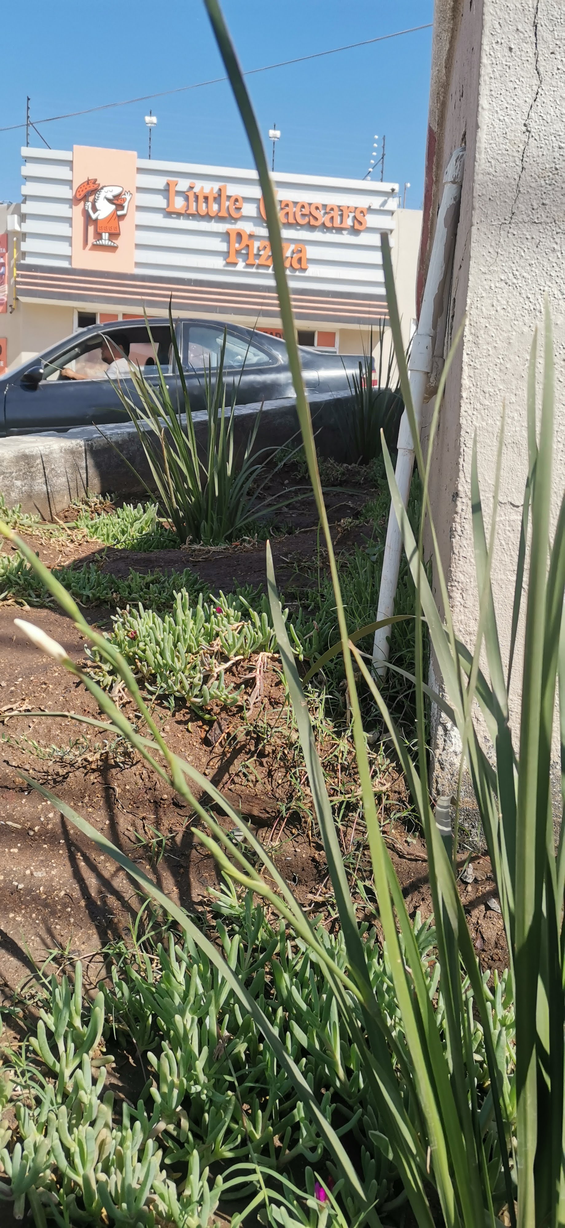 Little Caesars Villa del Campo image 8