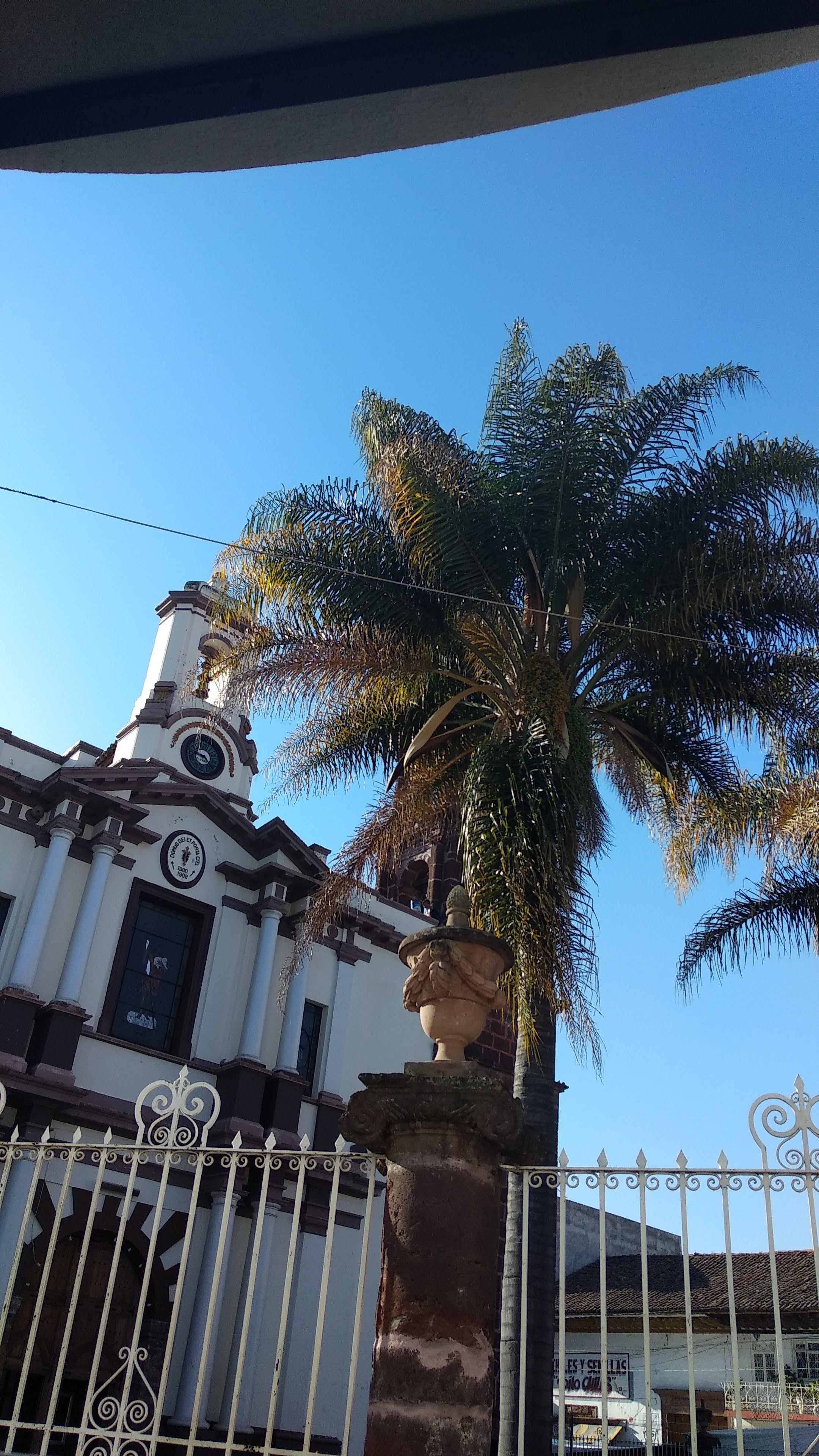 La Gran Torta image 4