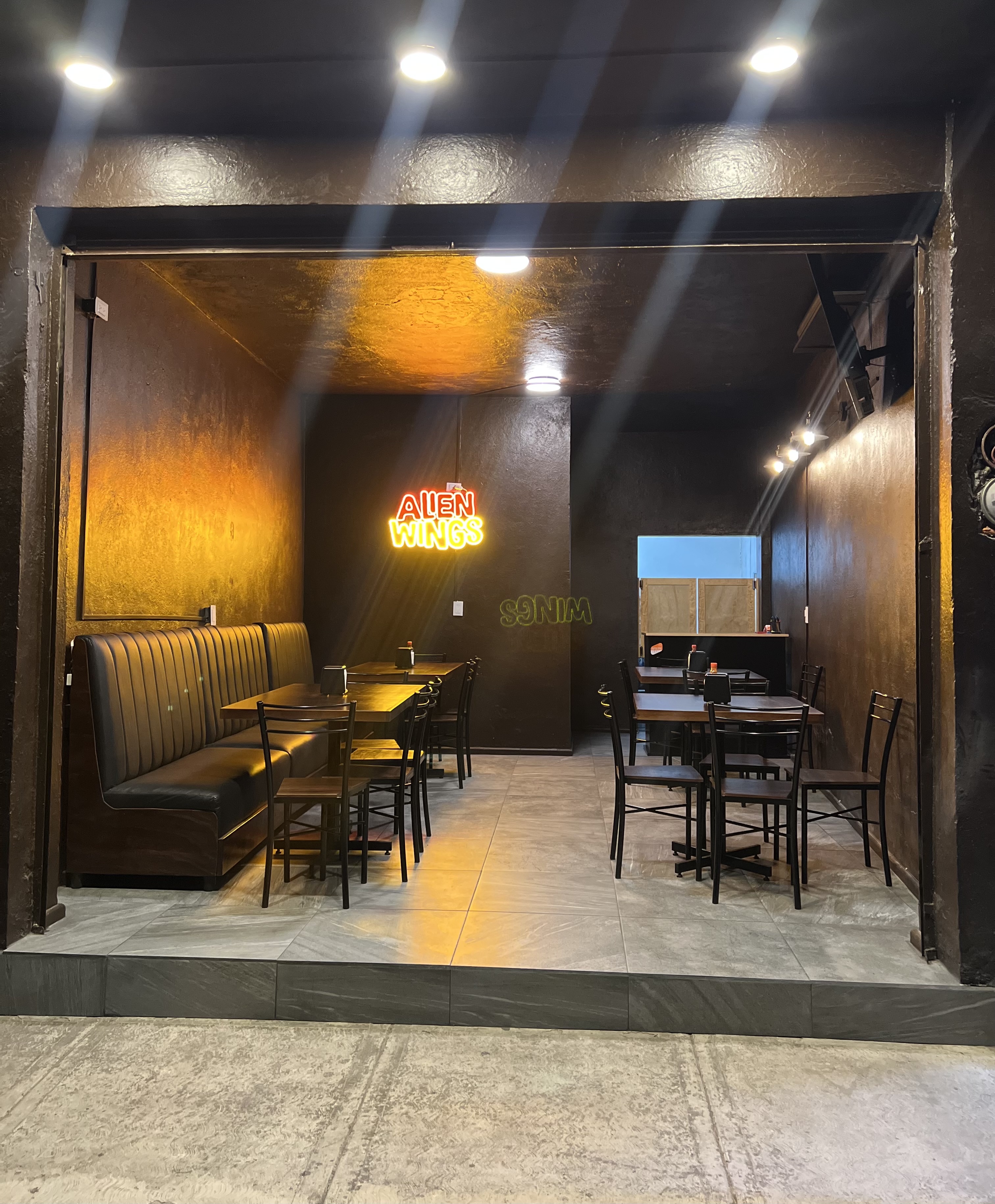 Alíen Wings image 1