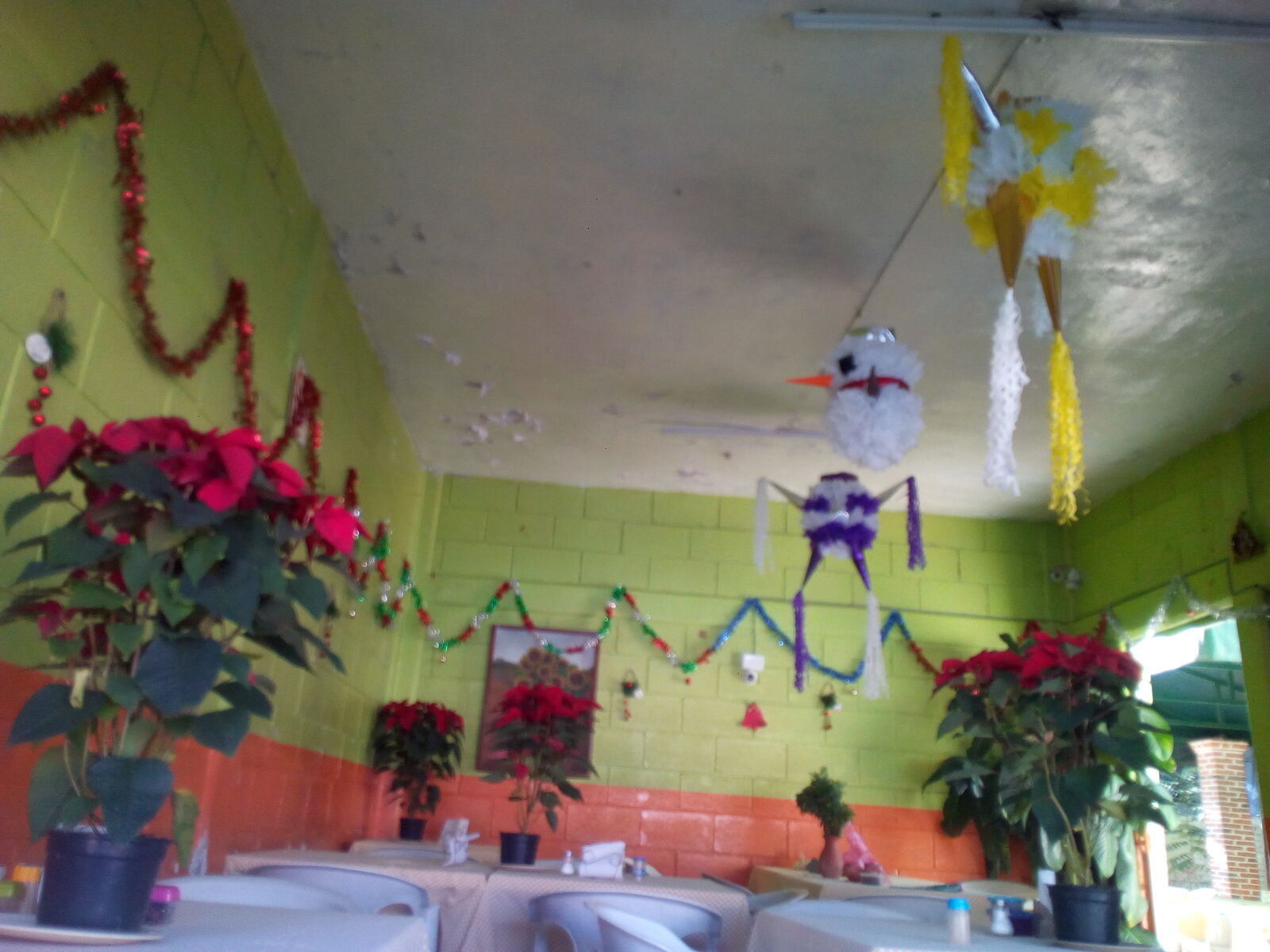 Tacos y Salsa image 5