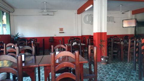 Brisna image 7