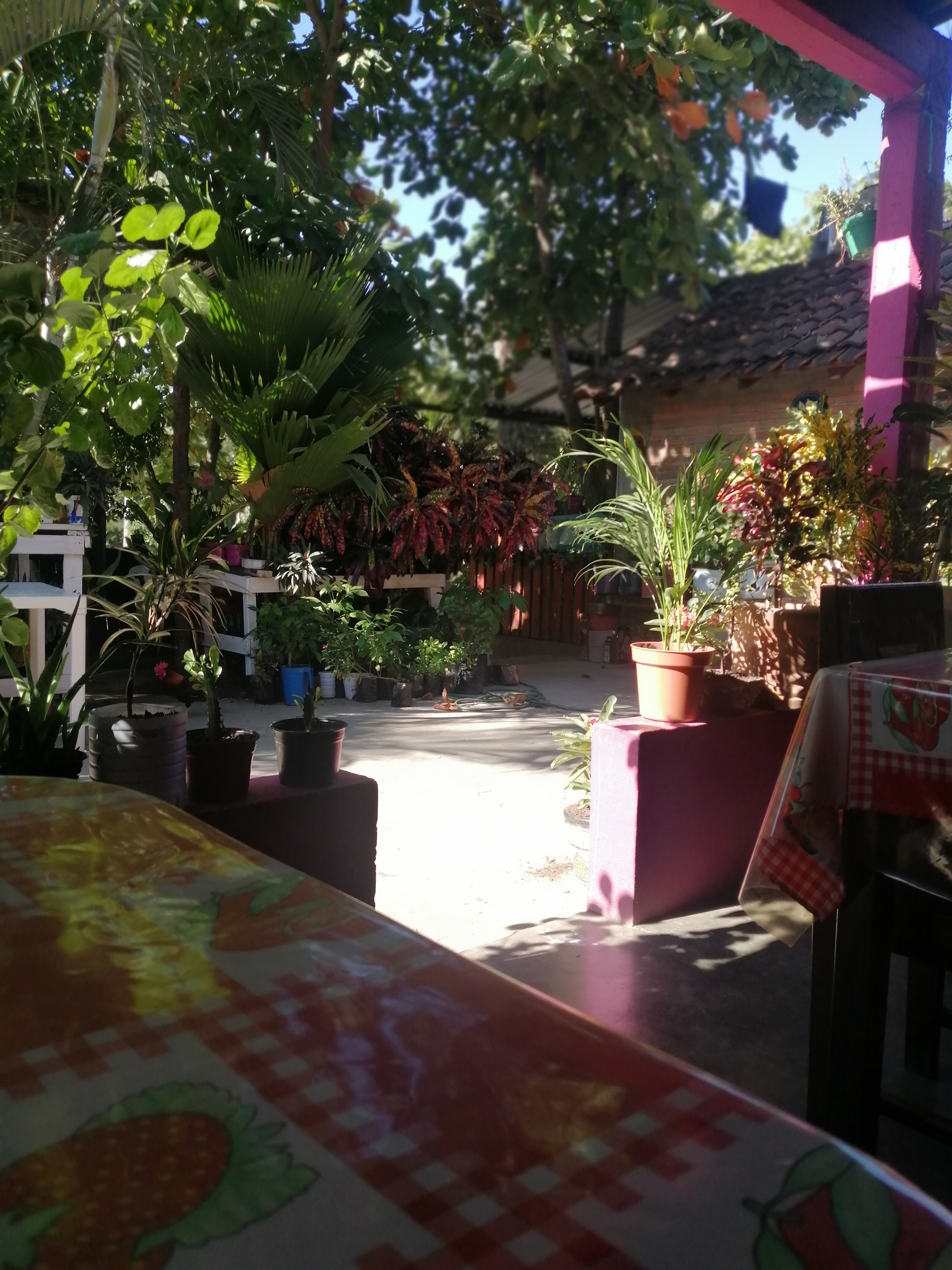 Comedor Angelita image 1