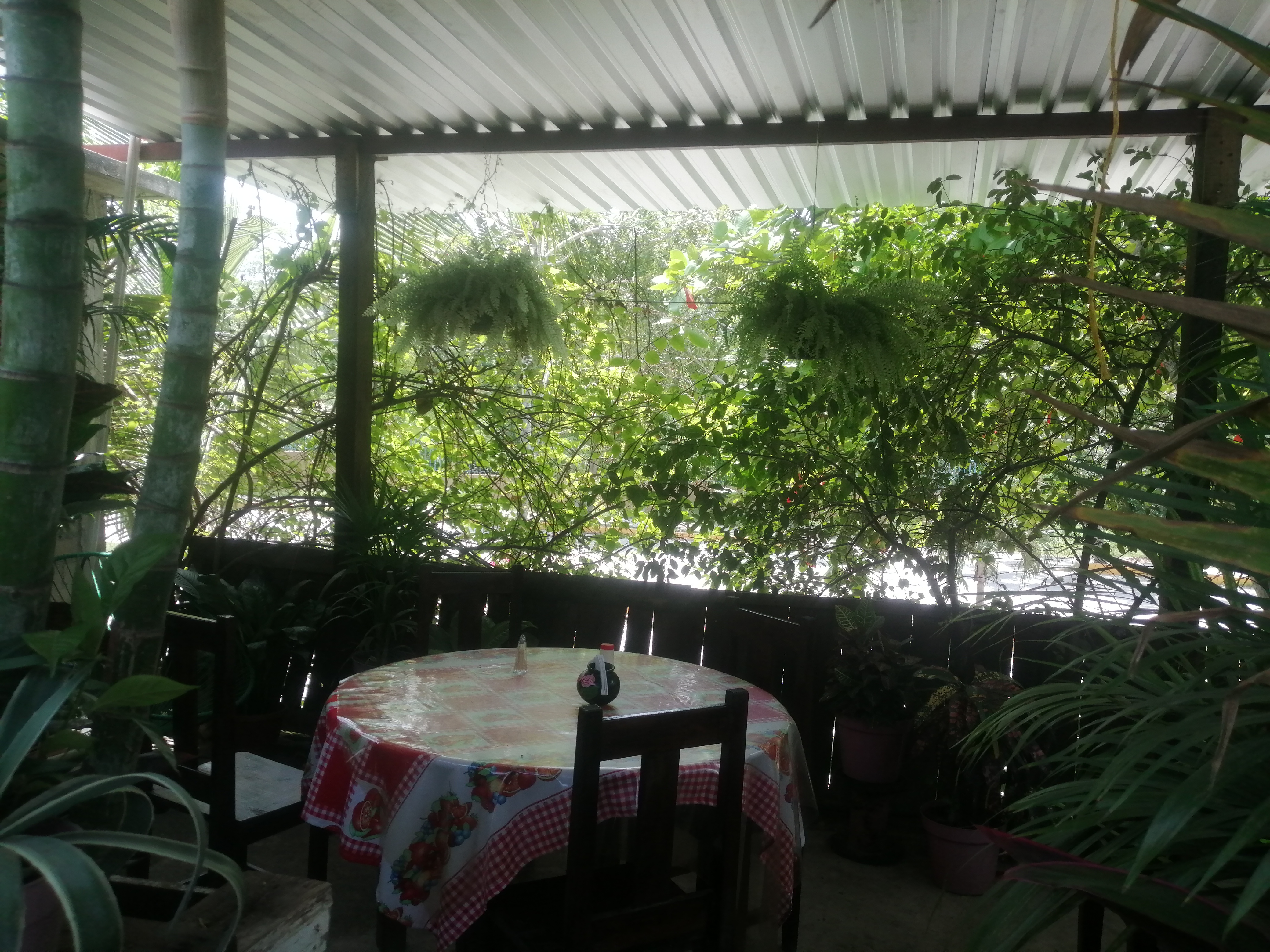 Comedor Angelita image 3