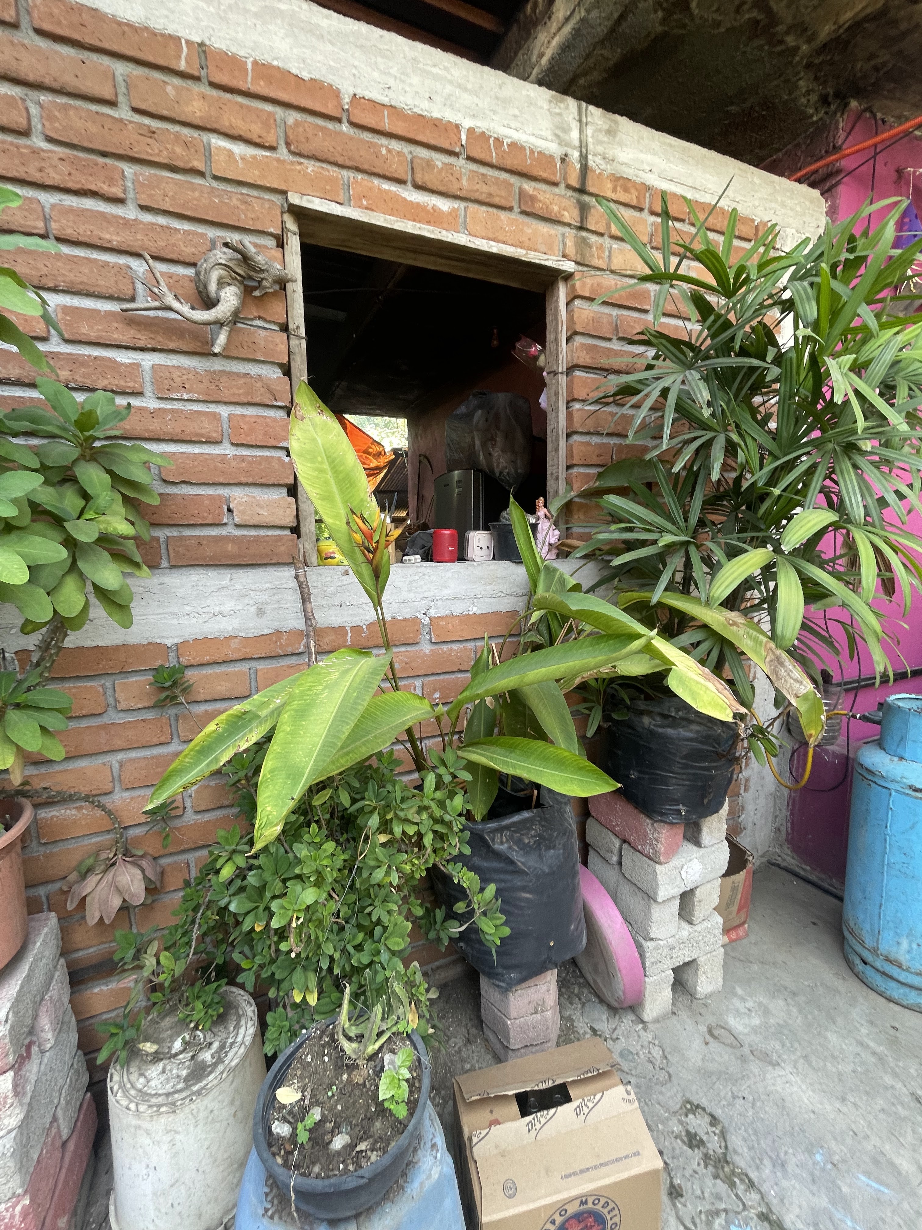 Comedor Angelita image 6