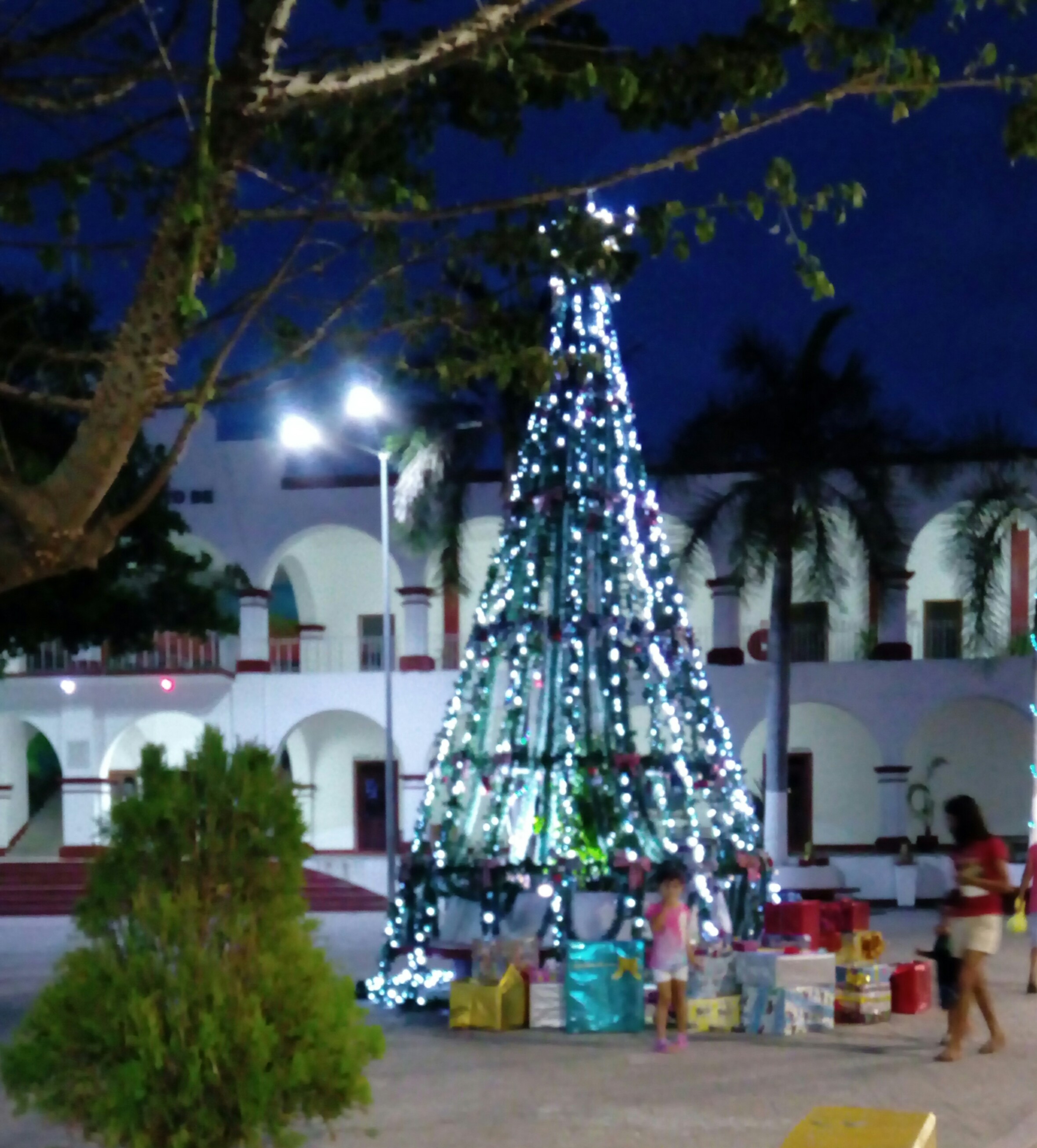 Kore's Pizza image 7