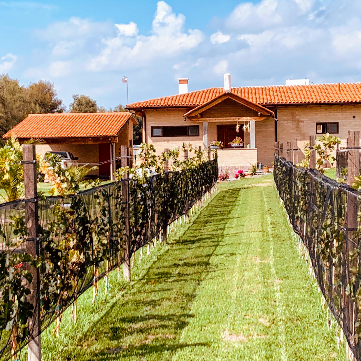 Casa Giovanni&Marina image 5