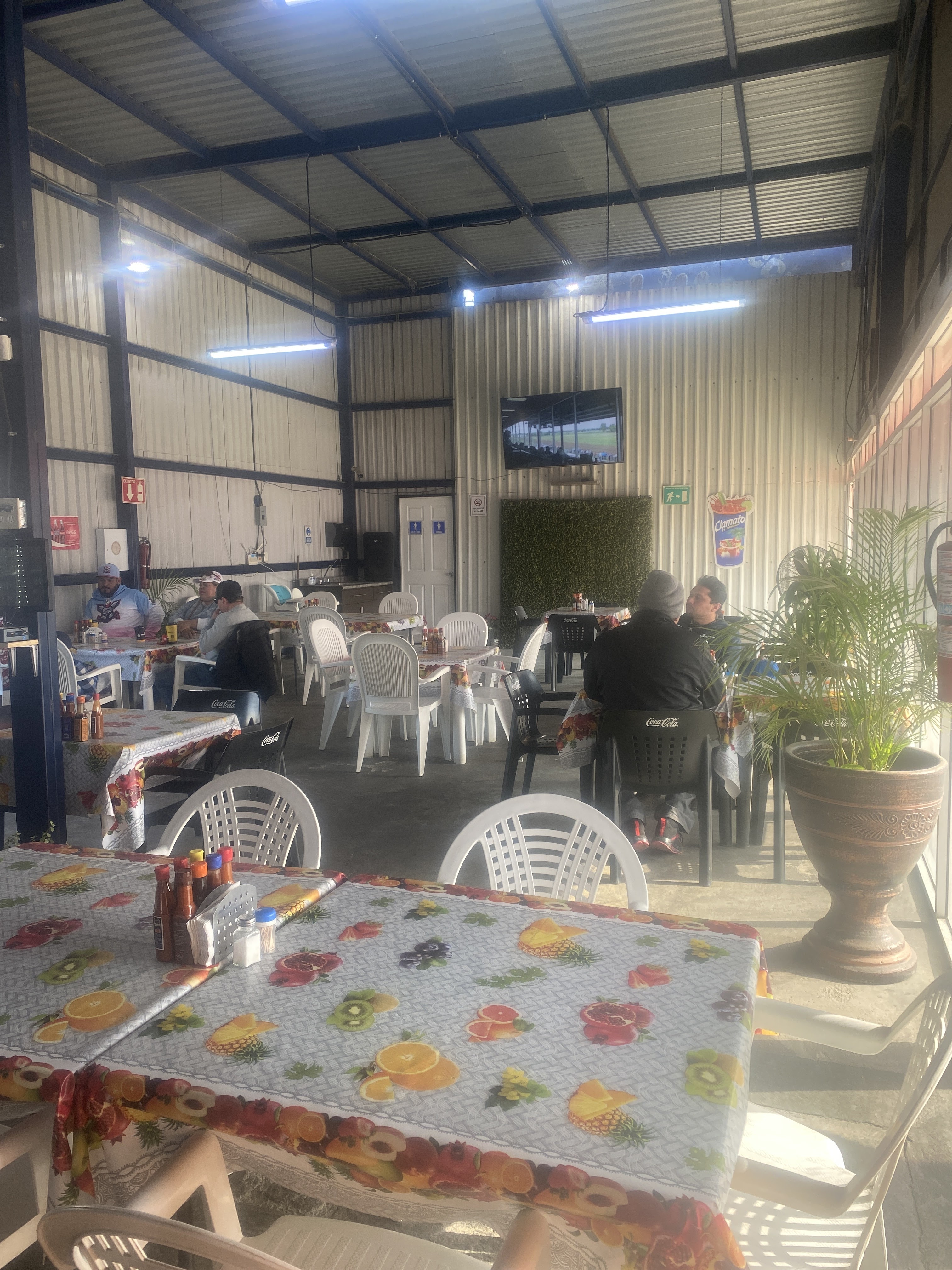 Cahuamanta del Valle del Yaqui image 7