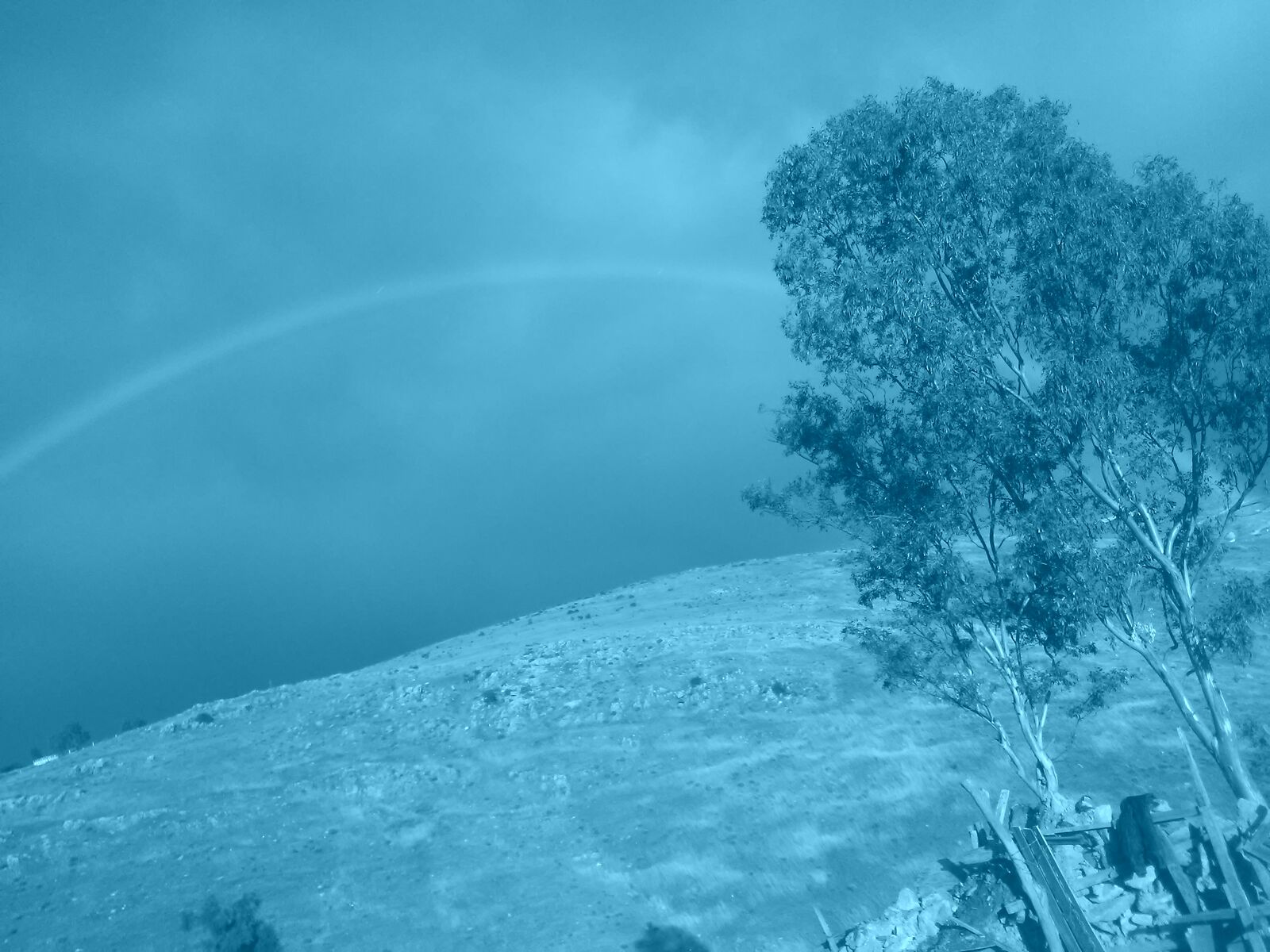 Menuderia Magui image 2