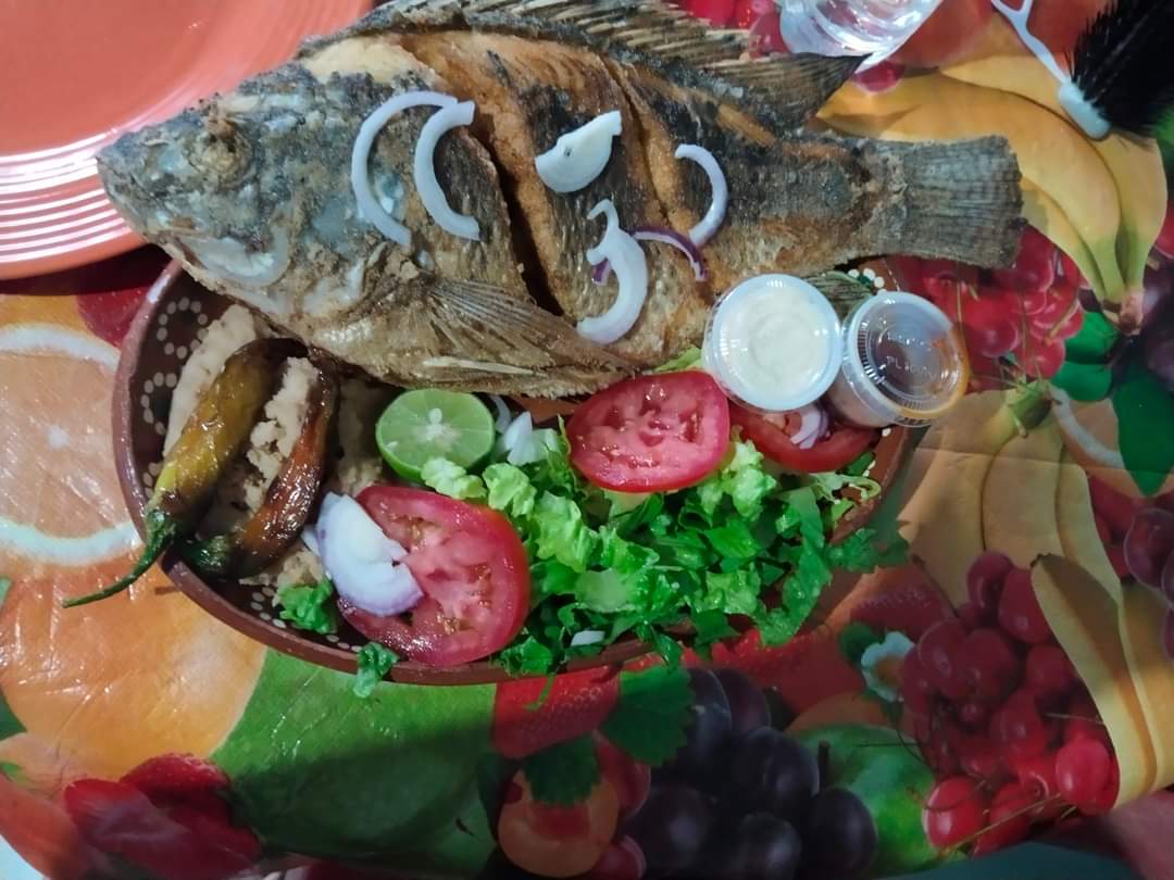 Señor taco-T de tijuana image 3