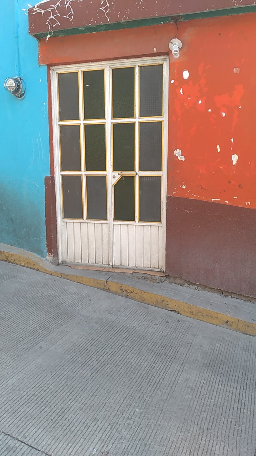 Cenaduria adela image 1