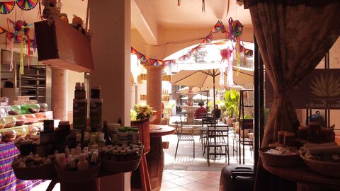 Finca Sanchez image 6
