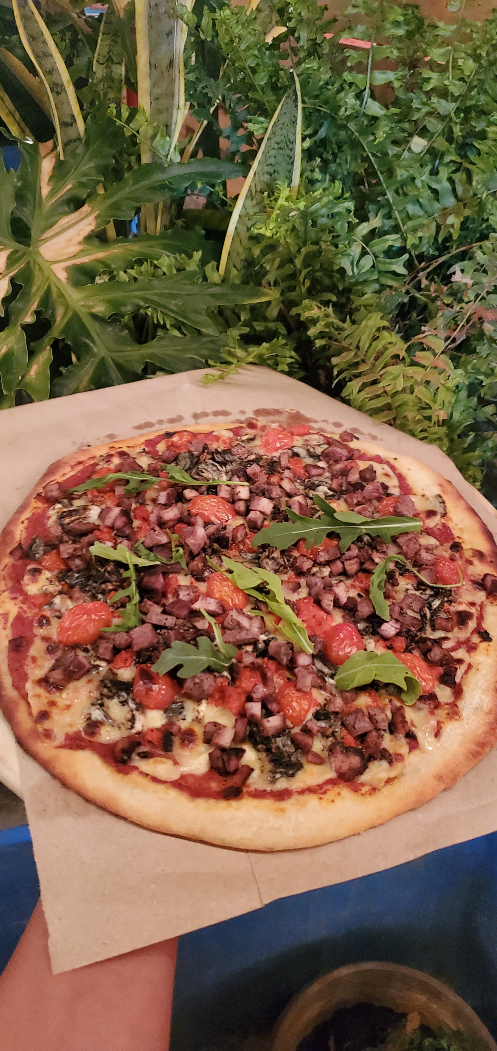 PANO'S RESTAURANTE image 9