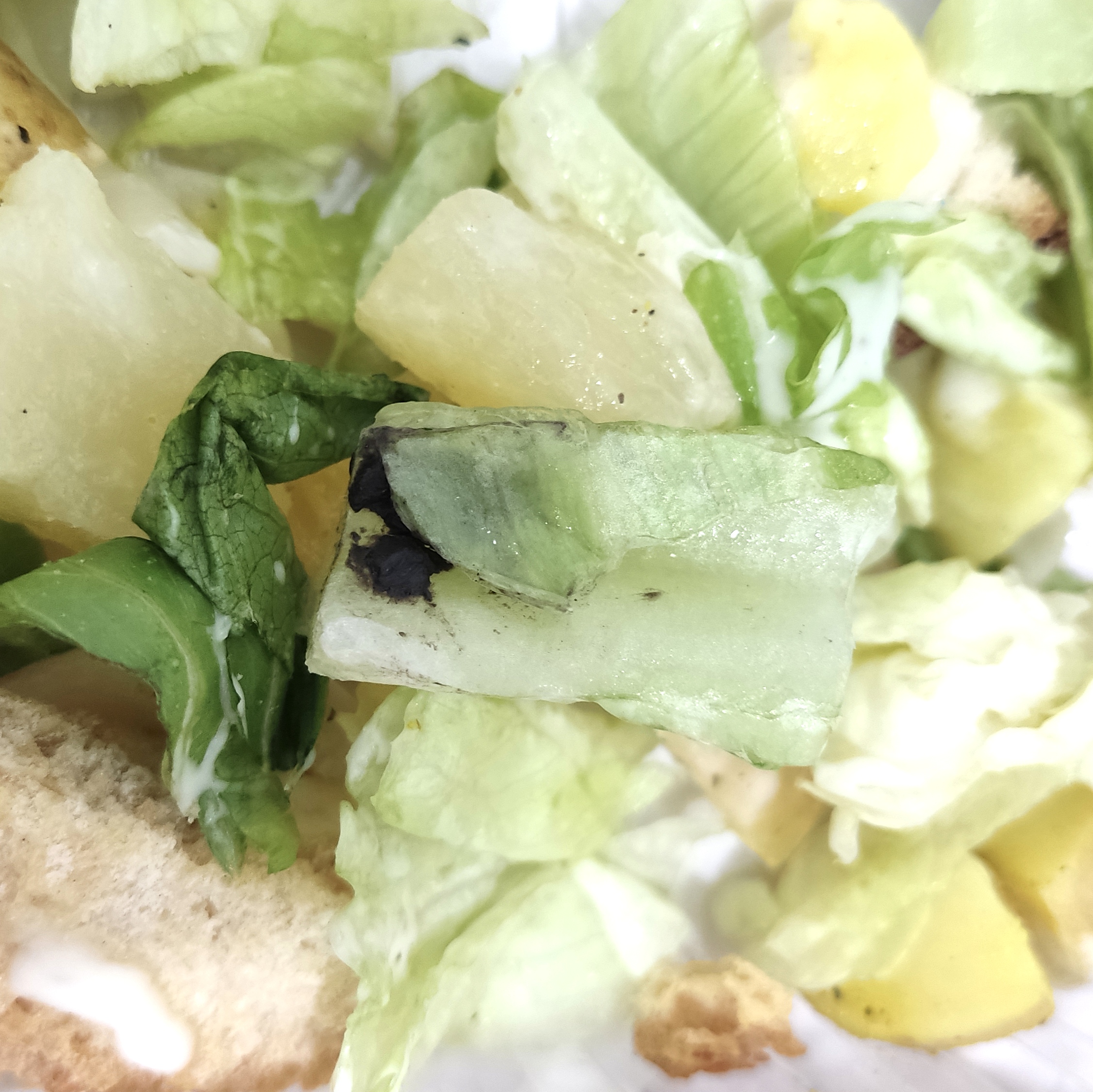 Salad Fresh Portal Querétaro image 5