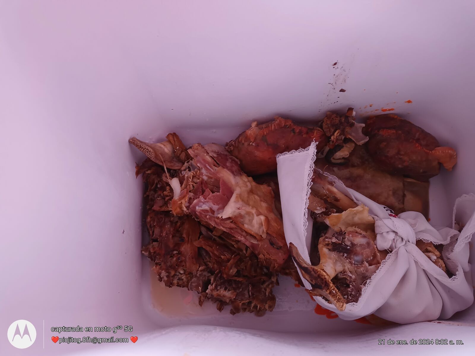 Barbacoa mi borreguito panzon image 9