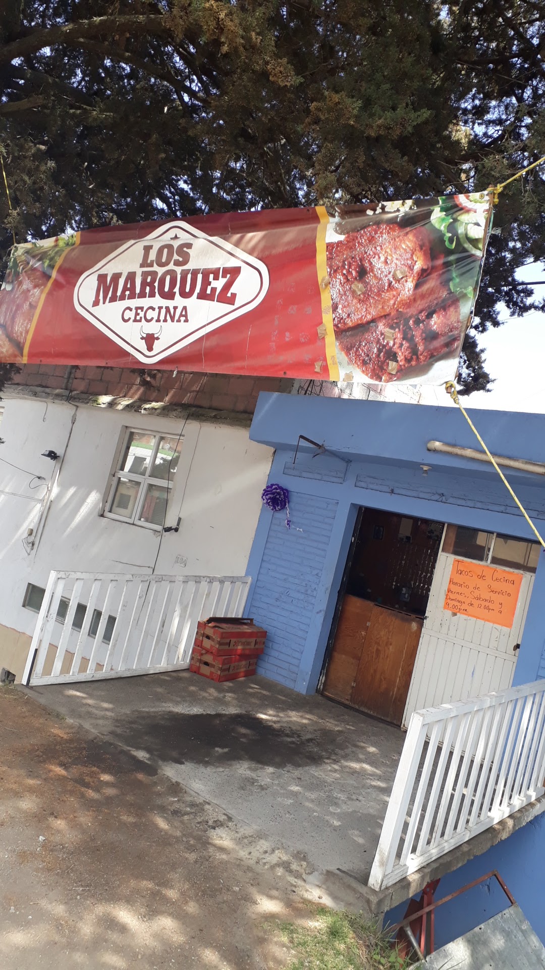 Los Márquez Cecina image 6