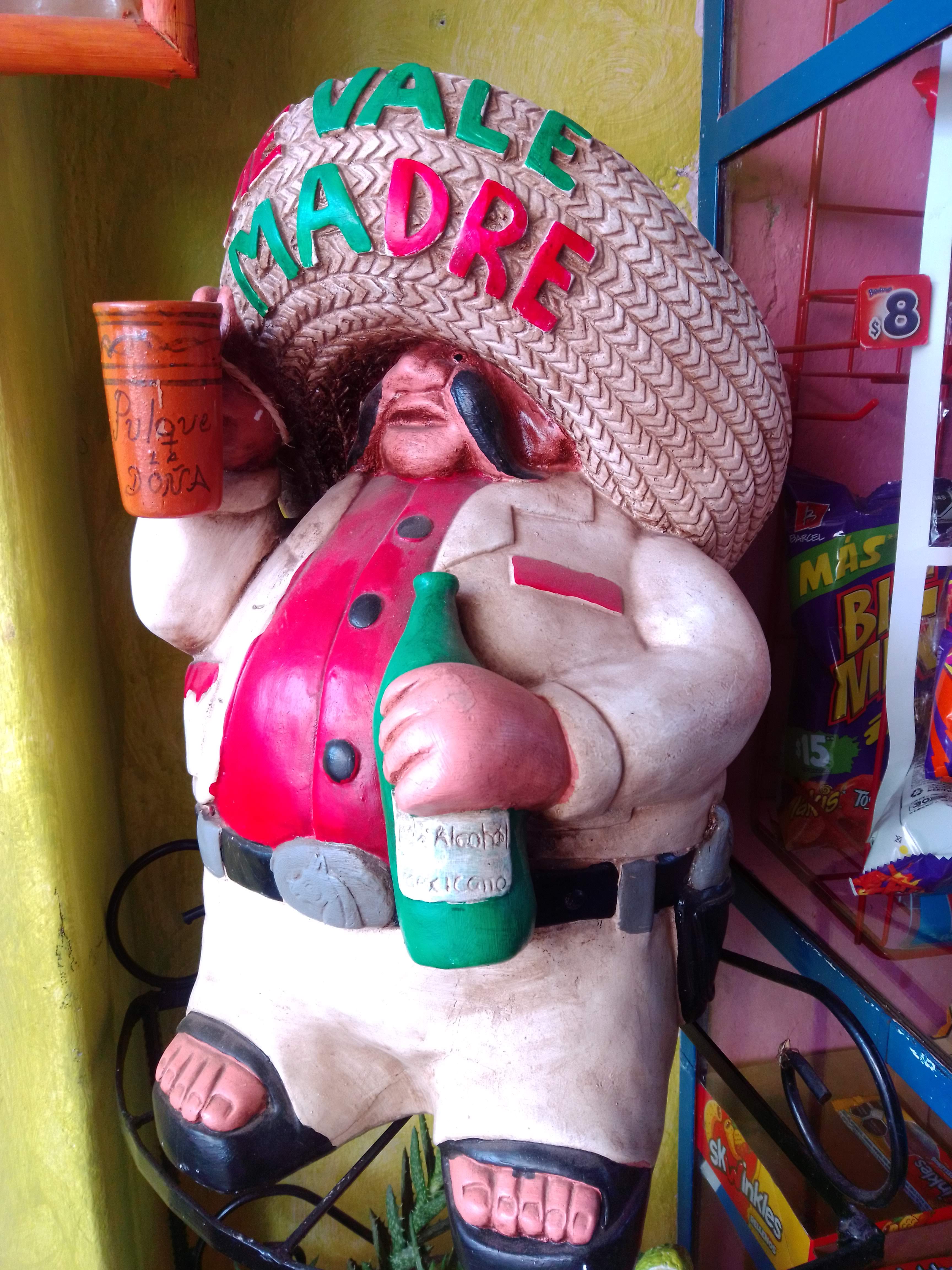 Pulque La doña y mole Araceli image 3