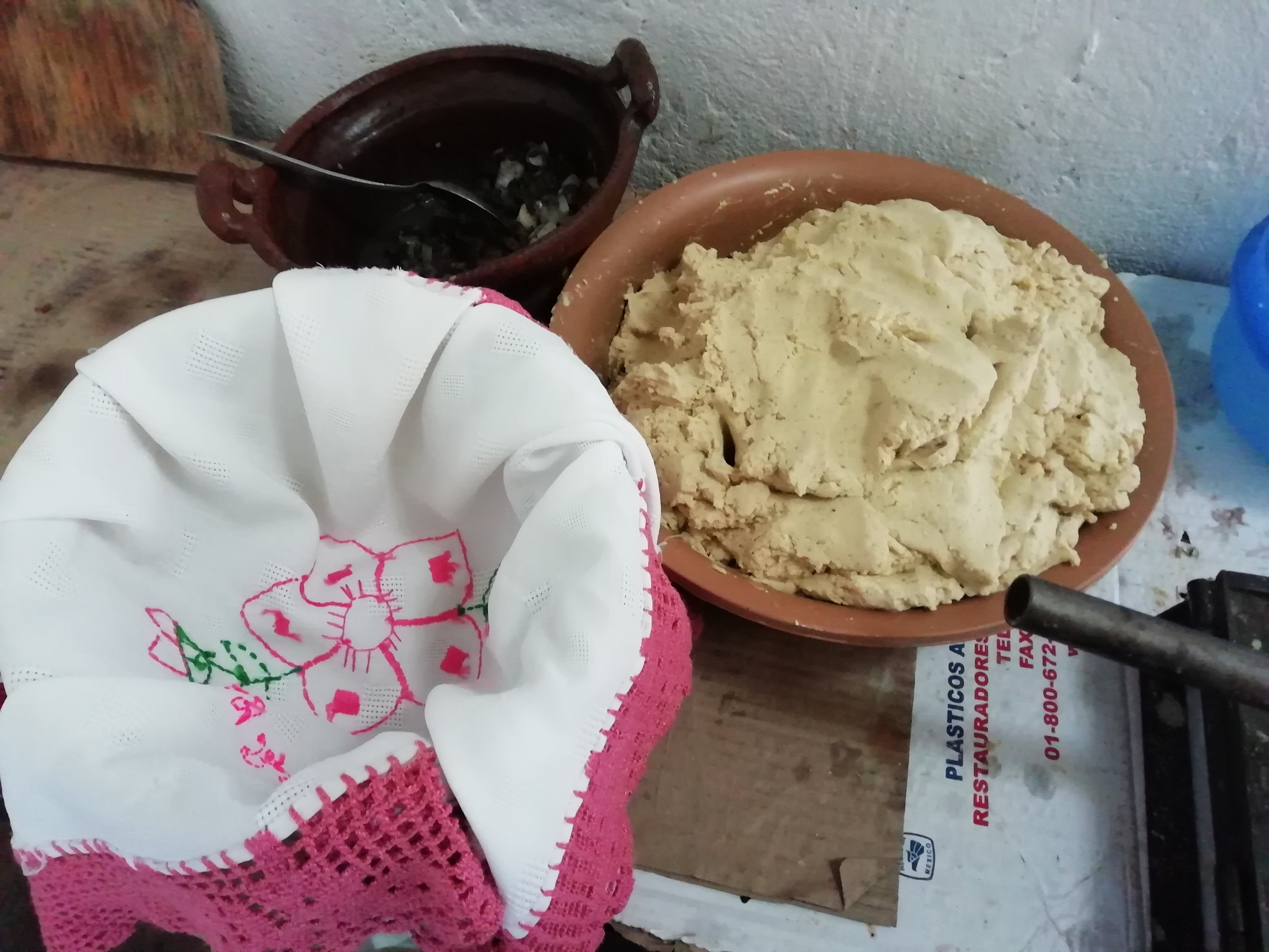 Pulque La doña y mole Araceli image 7