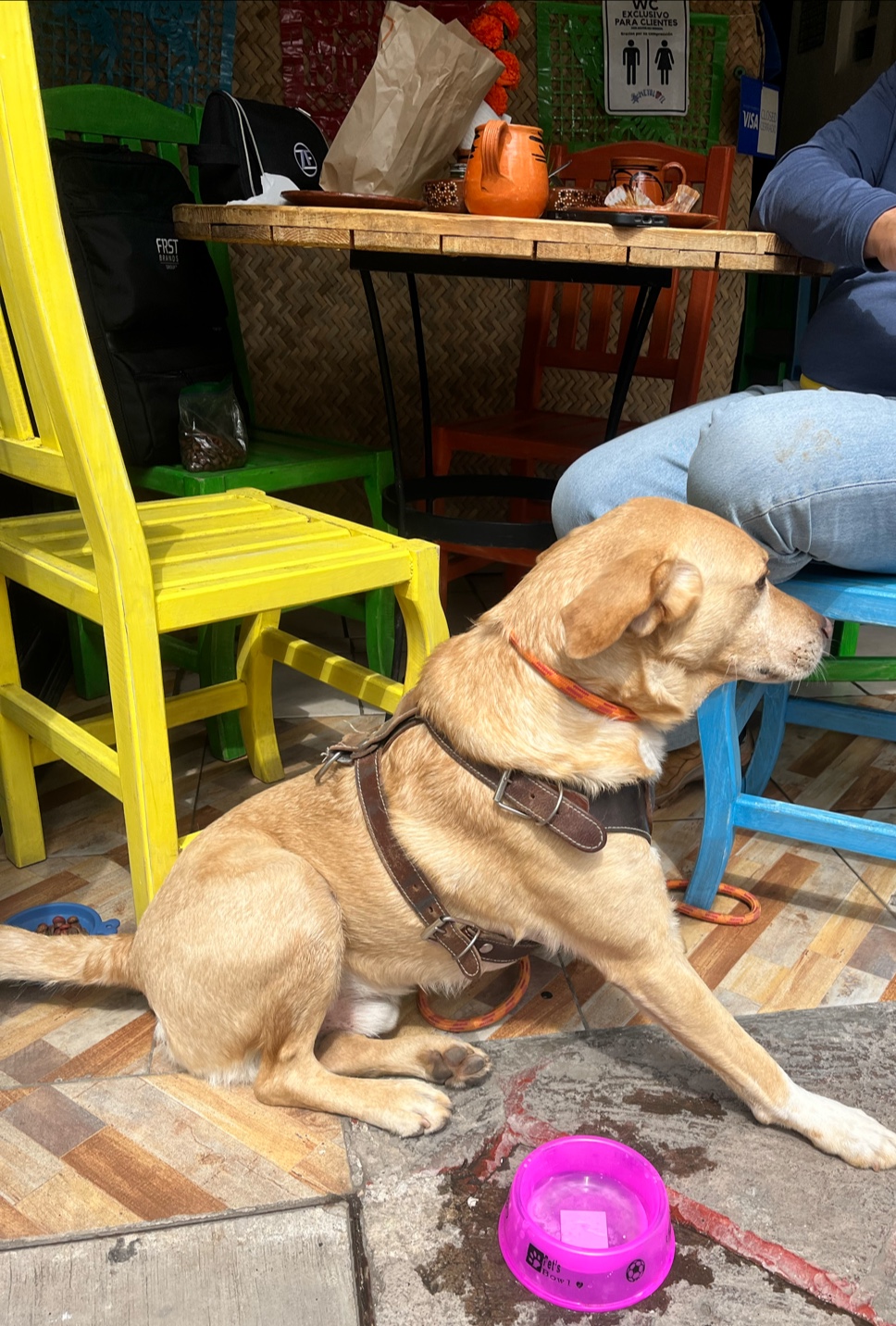 Ameyolotl Restaurante Tradicional image 9