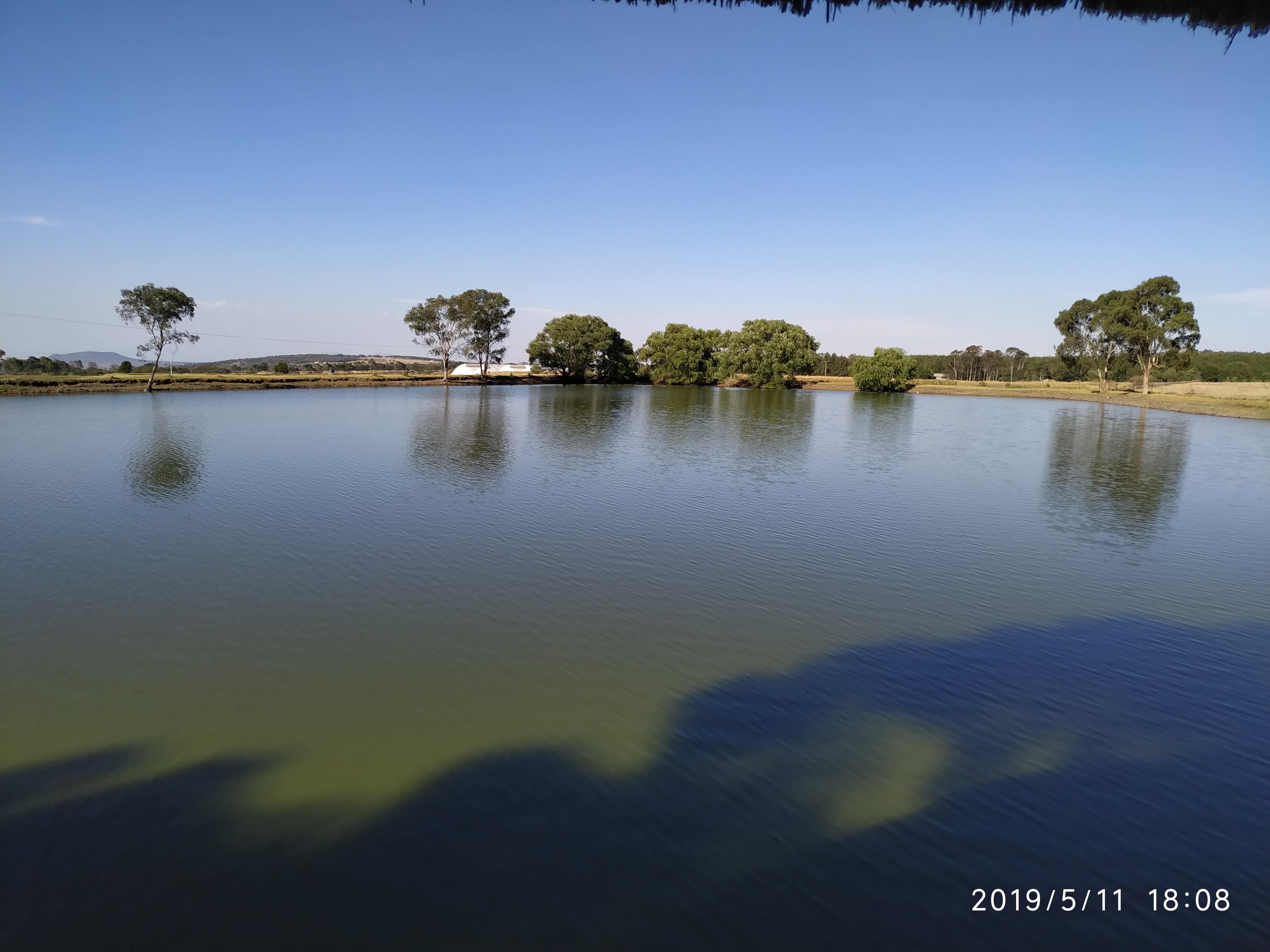 Palapa Campestre image 3