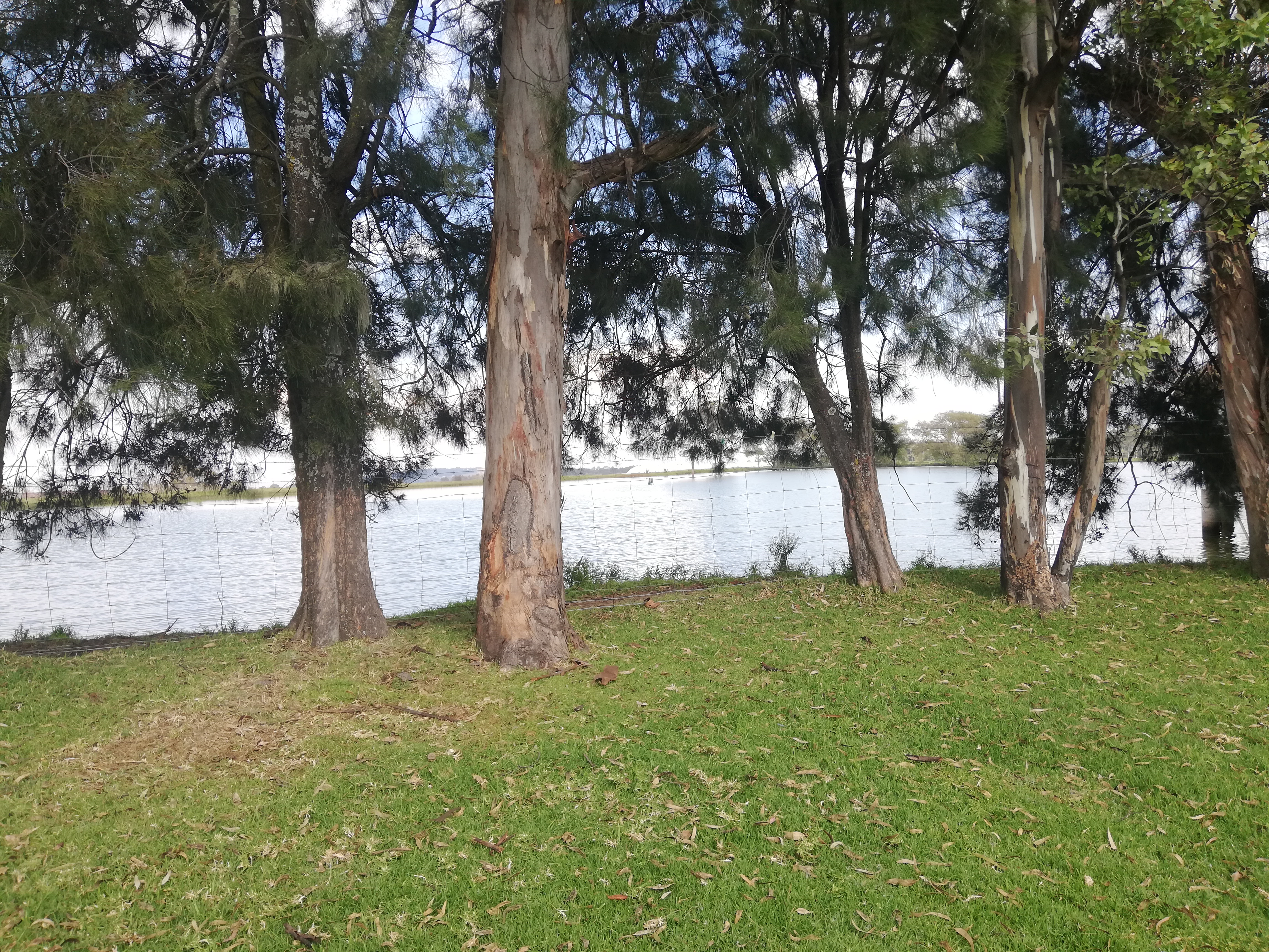 Palapa Campestre image 8