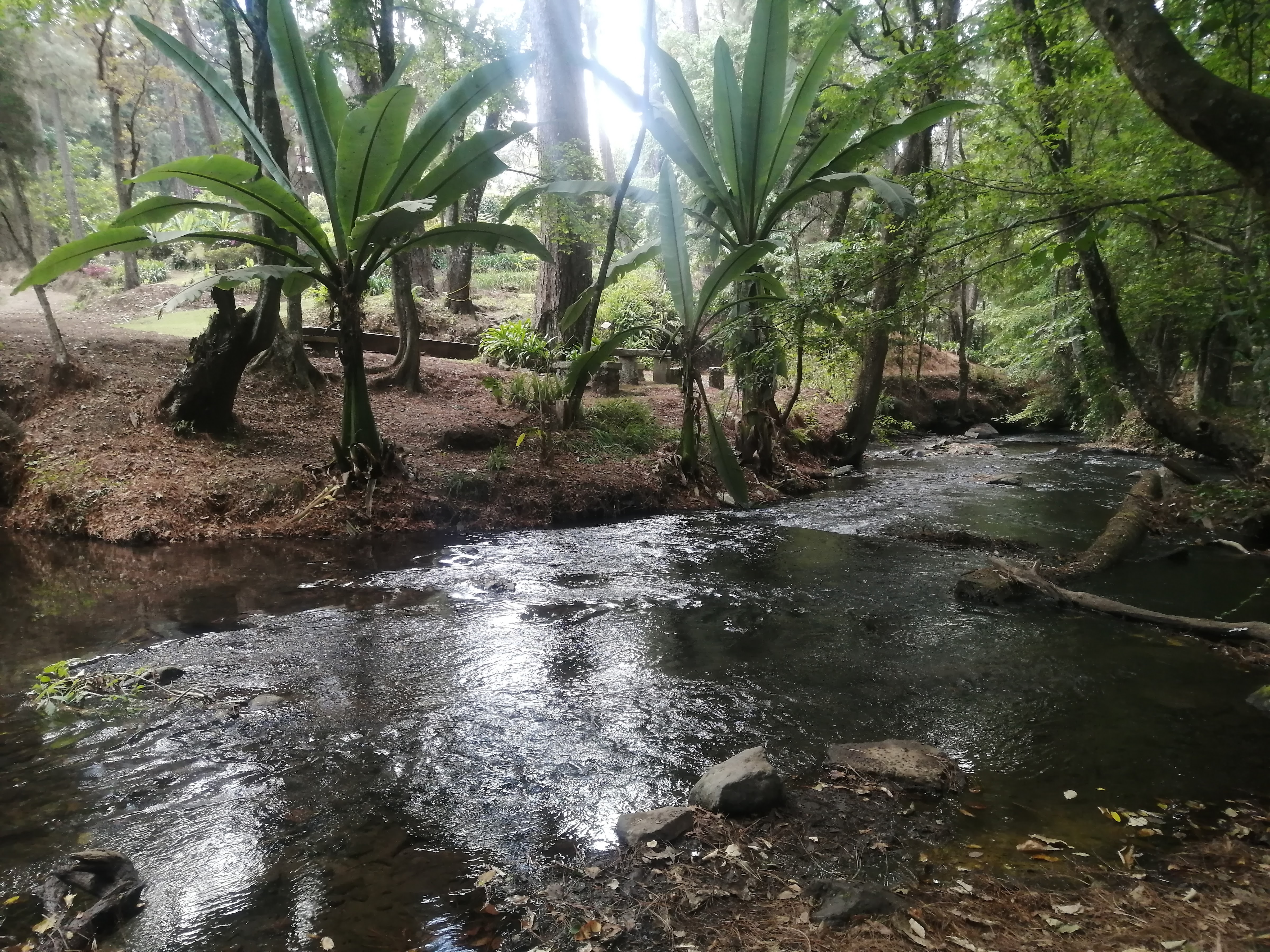 Sucursal del Cielo image 5