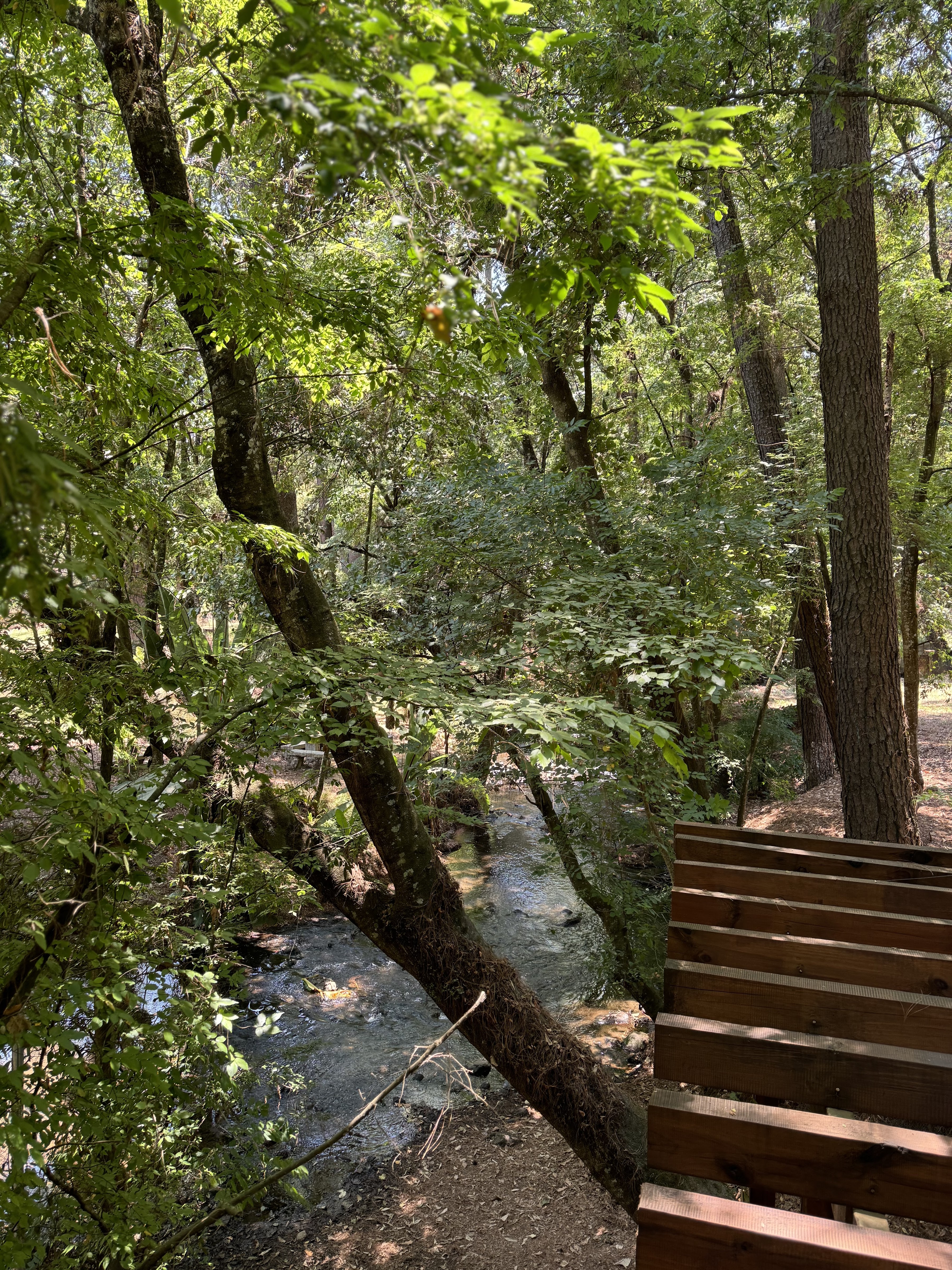 Sucursal del Cielo image 9