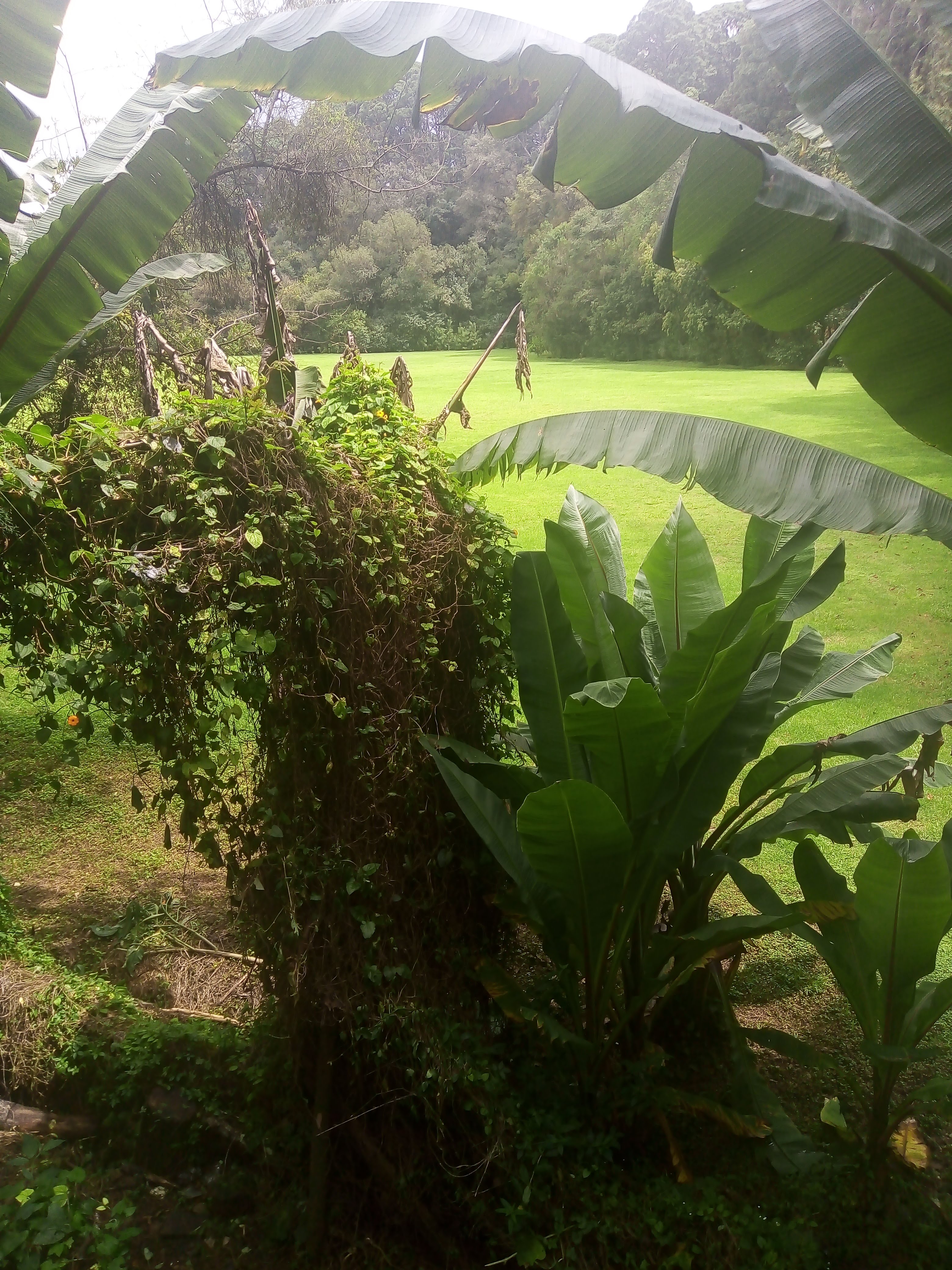 Sucursal del Cielo image 10