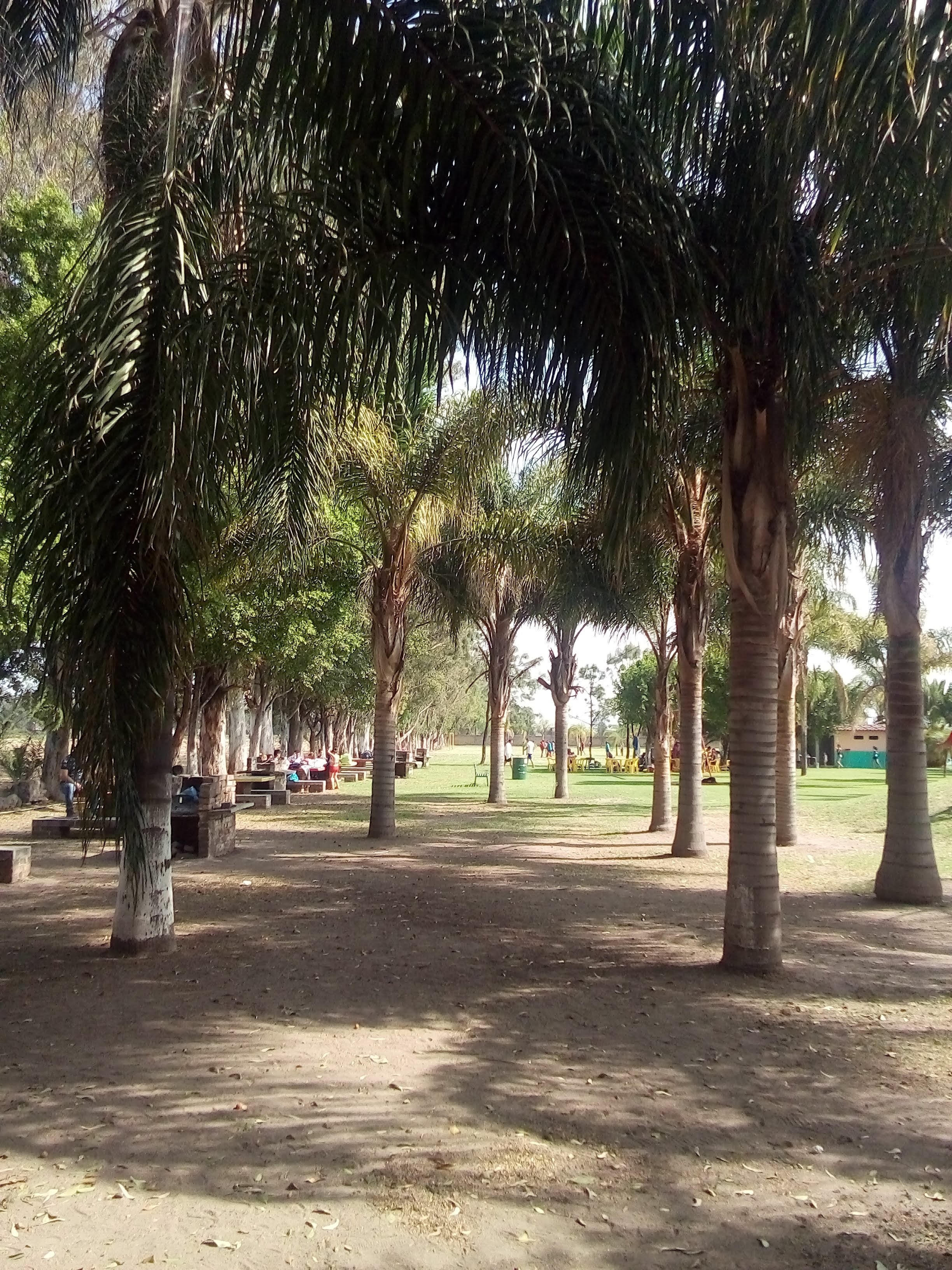 Balneario los pinos Country Club image 9