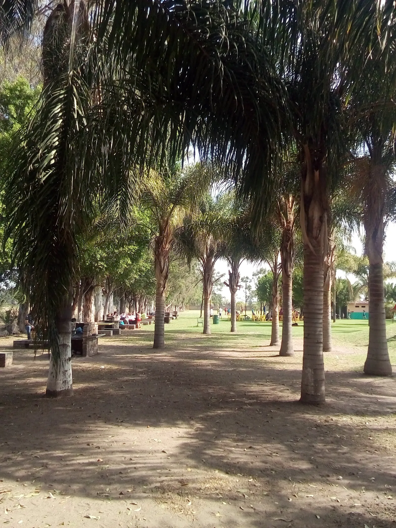 Balneario los pinos Country Club image 9