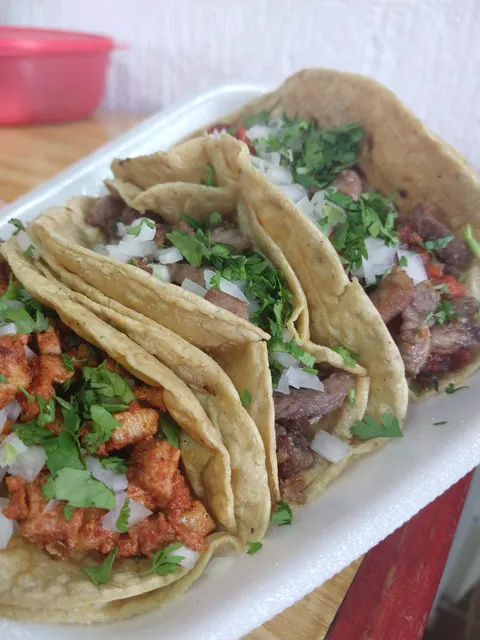 TAQUERIA ROBERT'S image 2