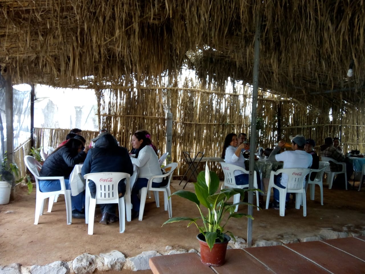 La Palapa de Doña Chuy image 3