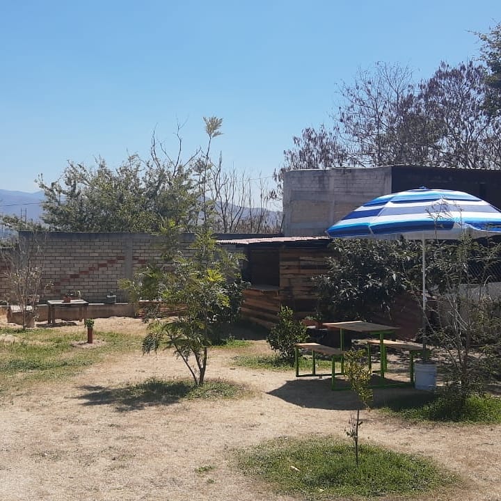 Aguaje 31 image 5