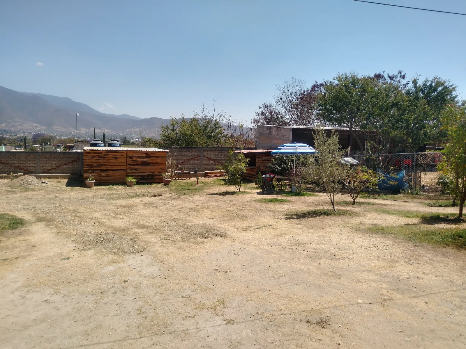Aguaje 31 image 9