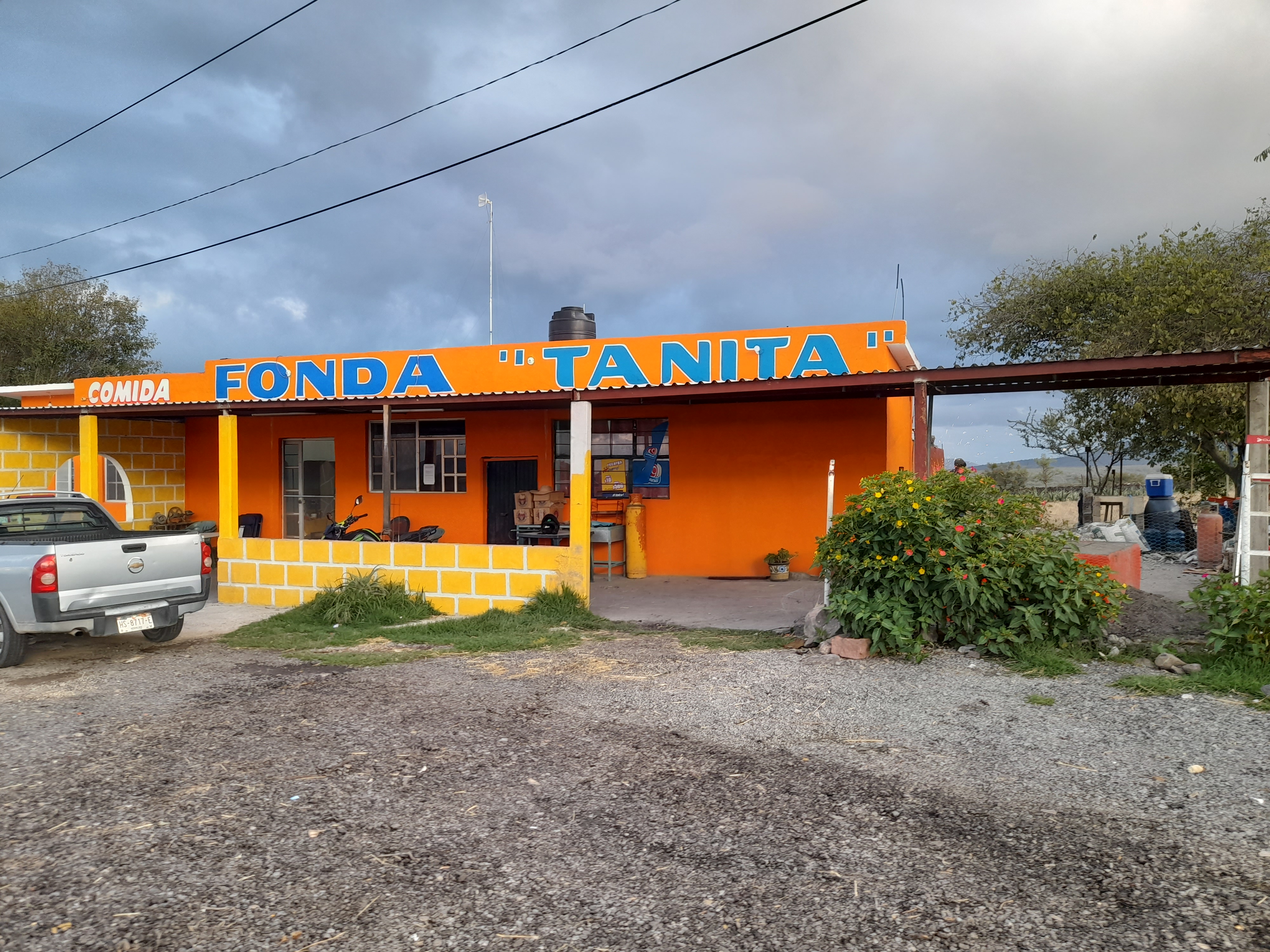 Fonda Tanita image 1